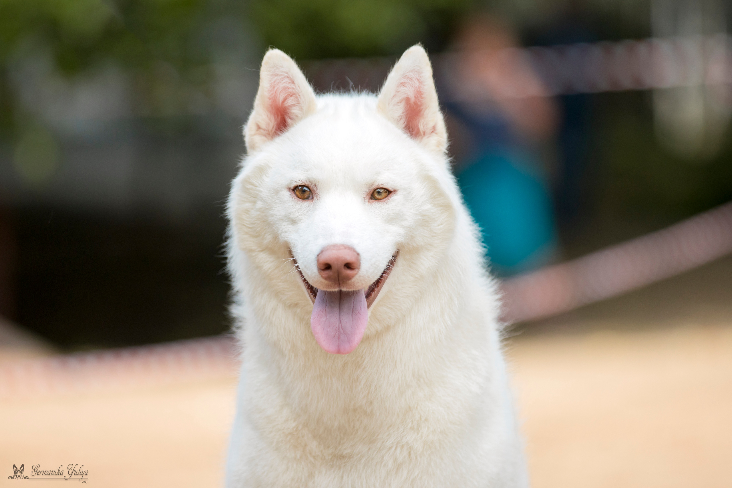 Сфера-Ховрино 29-30.07.2023. Фотограф-анималист Юлия Германика