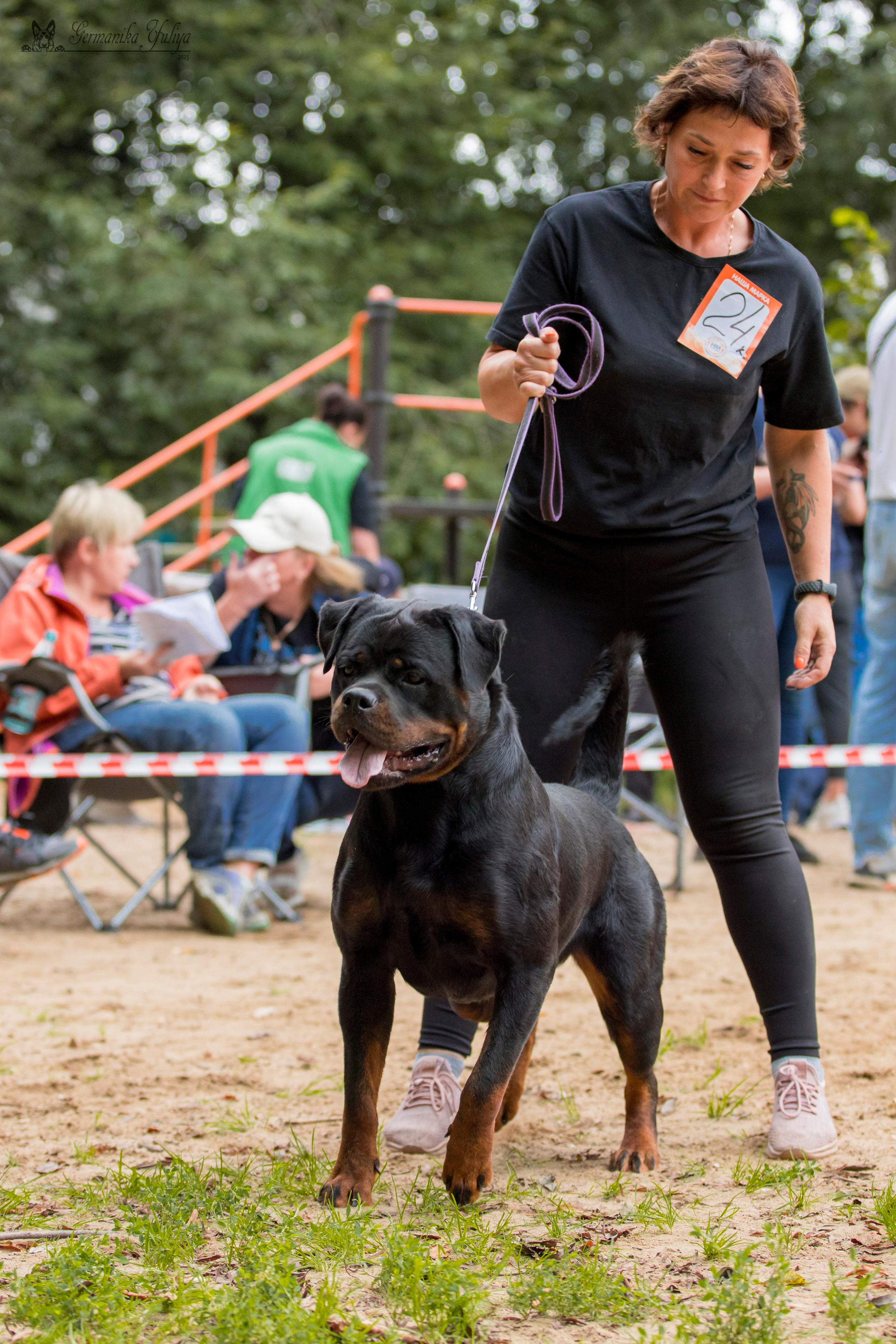 Ховрино 2хмоно ротвейлеров 13.08.2023. Фотограф-анималист Юлия Германика