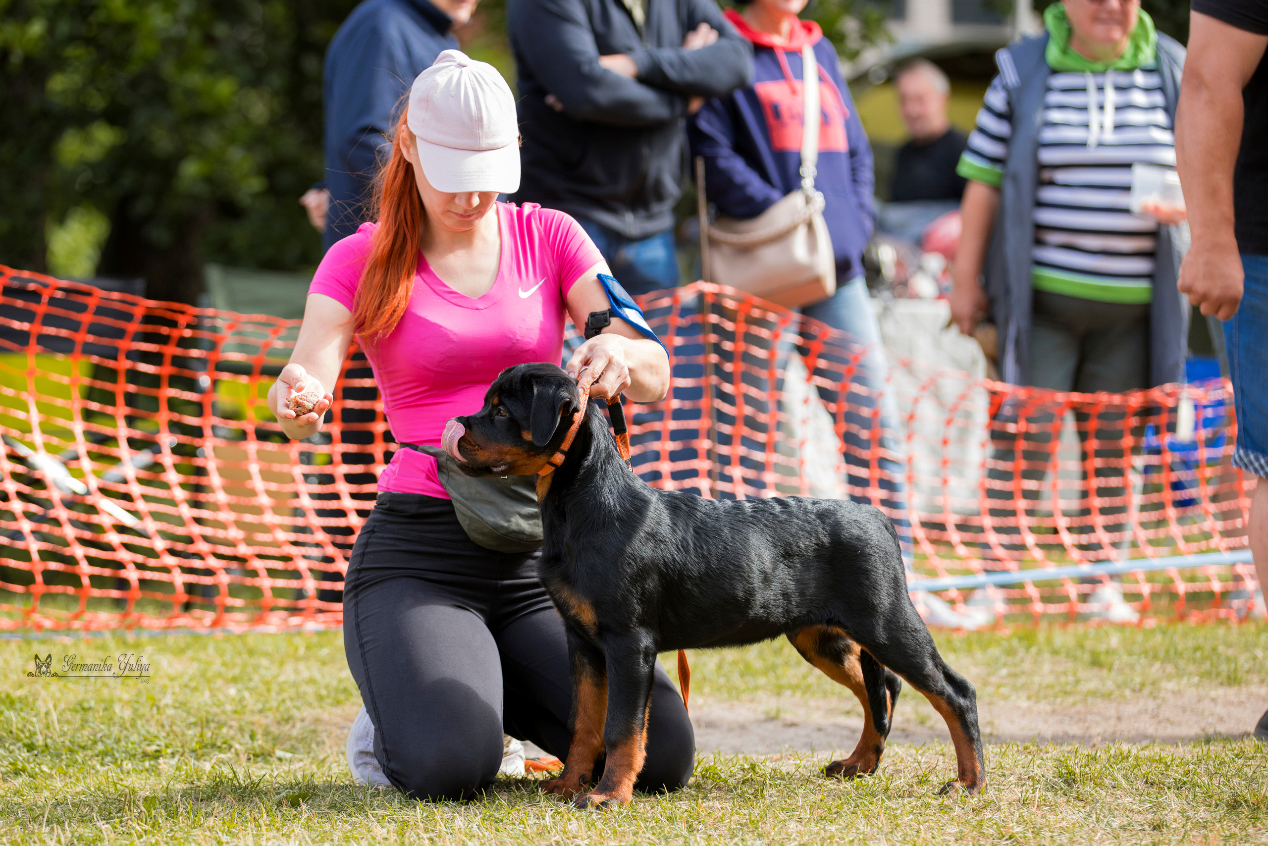 ПК и КЧК ротвейлеров Питер 22-23.07.2023. Фотограф-анималист Юлия Германика