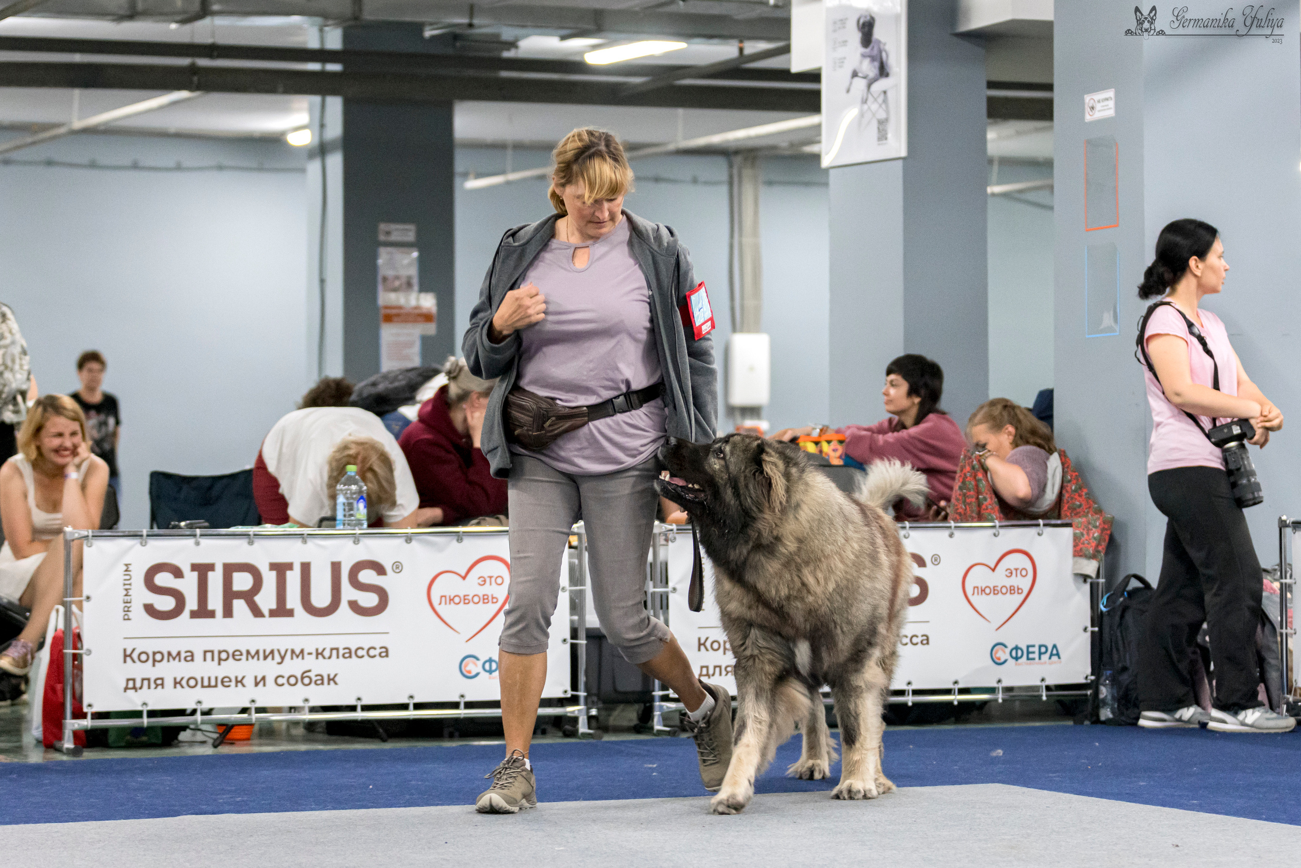 Сфера-Ховрино 29-30.07.2023. Фотограф-анималист Юлия Германика