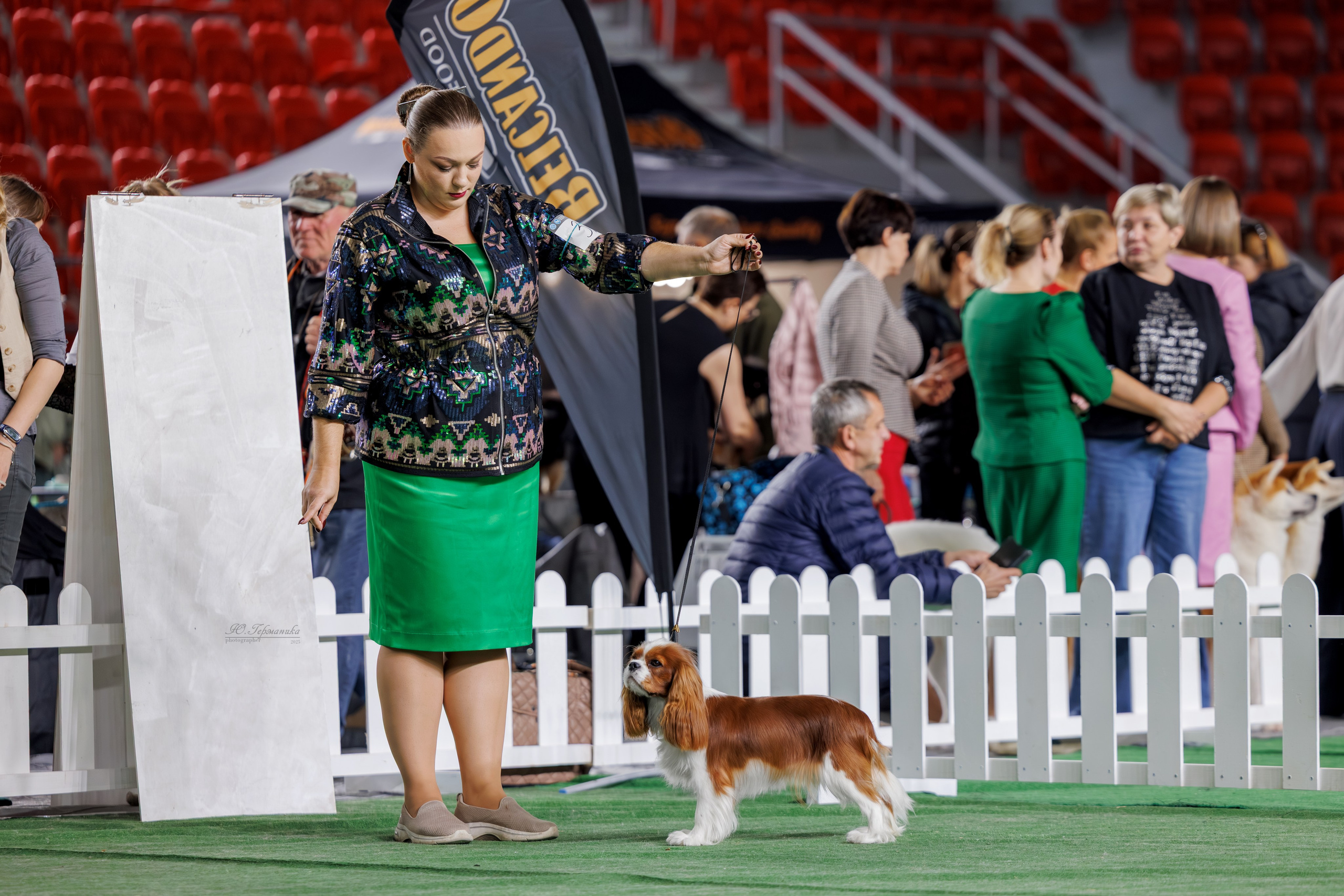 Телави 11-12.10.2025. Фотограф-анималист Юлия Германика