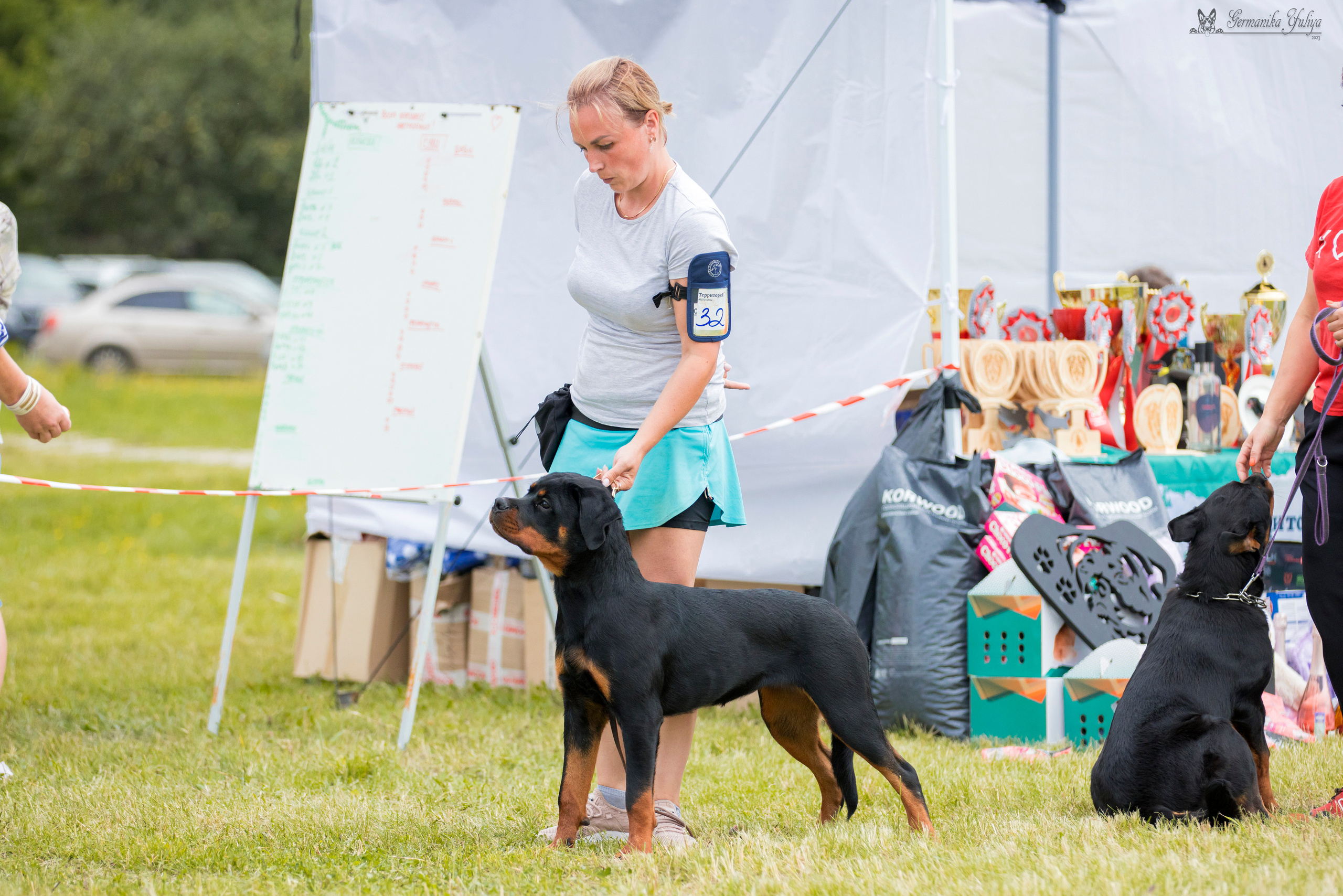 Рязань моно ротвейлеров 12.08.2023. Фотограф-анималист Юлия Германика