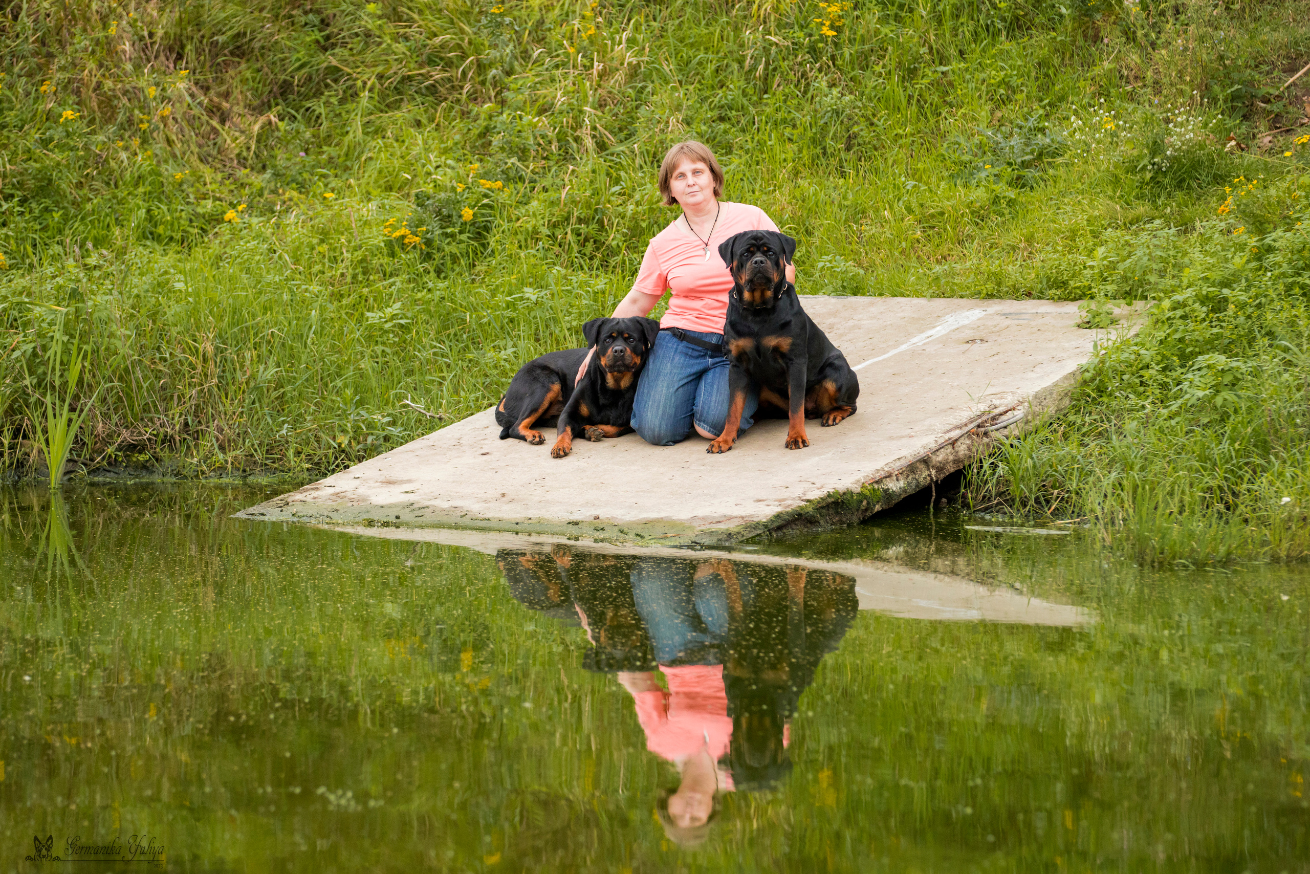 Рязань моно ротвейлеров 12.08.2023. Фотограф-анималист Юлия Германика
