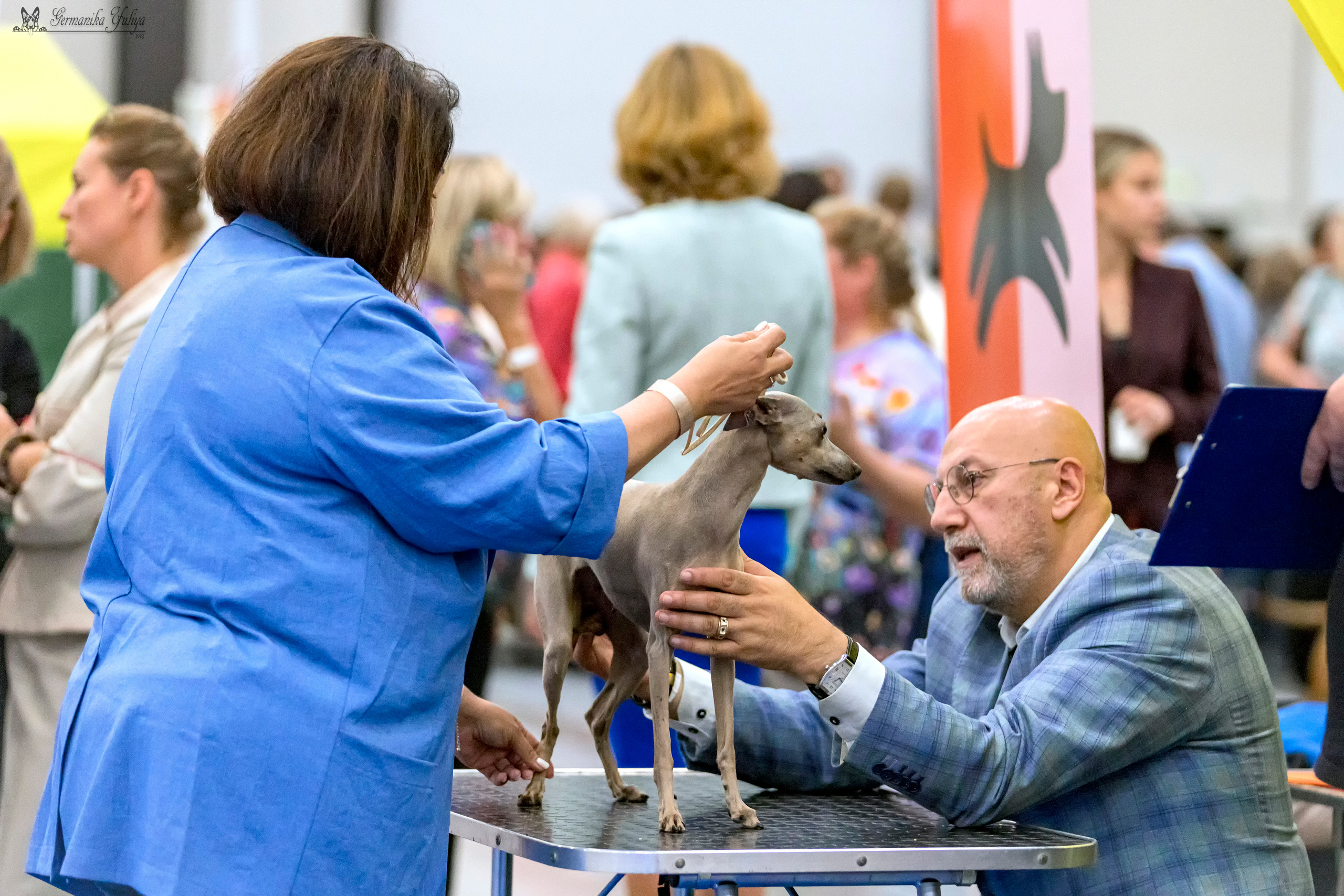 Питер 2-3.09.2023. Фотограф-анималист Юлия Германика