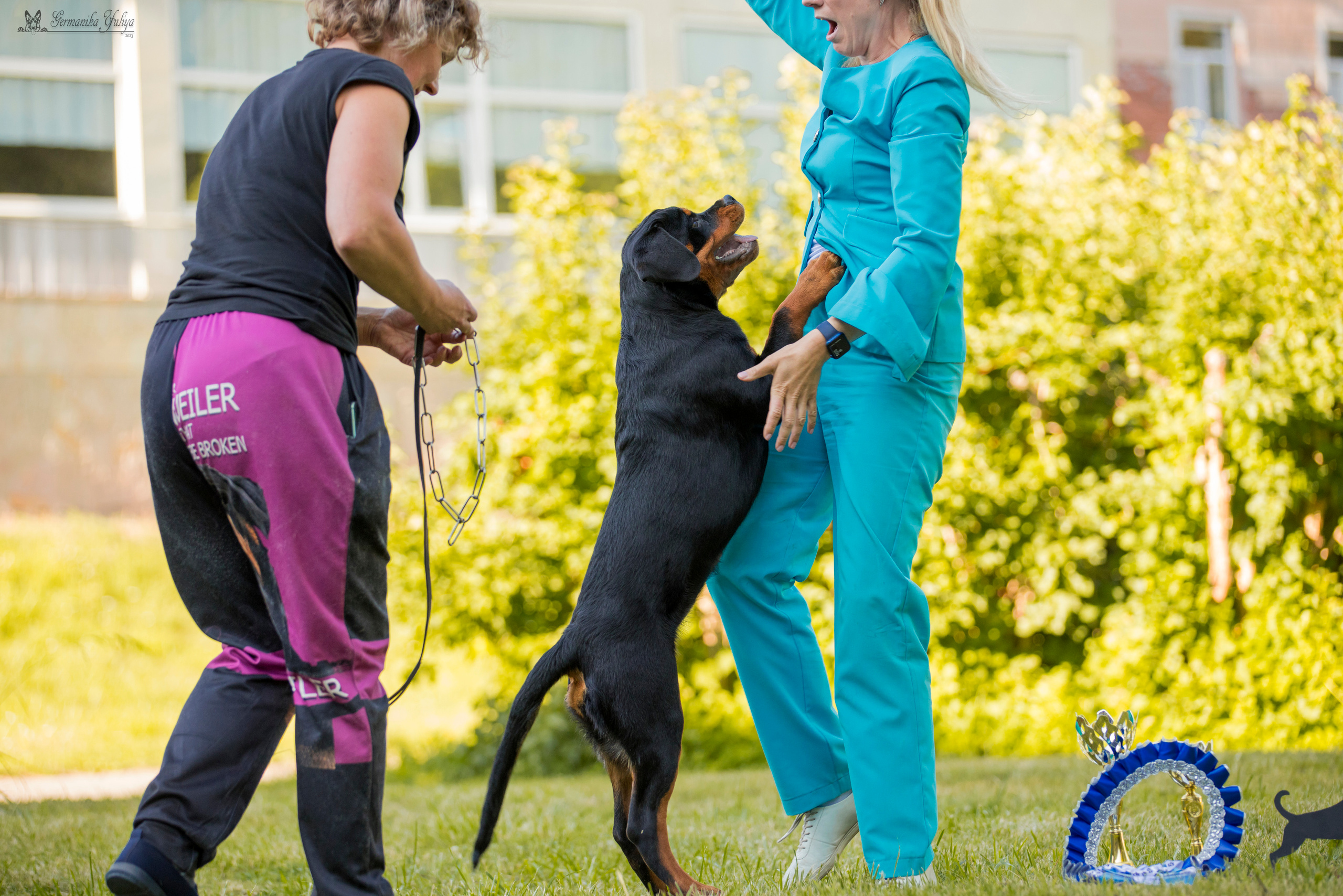 ПК и КЧК ротвейлеров Питер 22-23.07.2023. Фотограф-анималист Юлия Германика