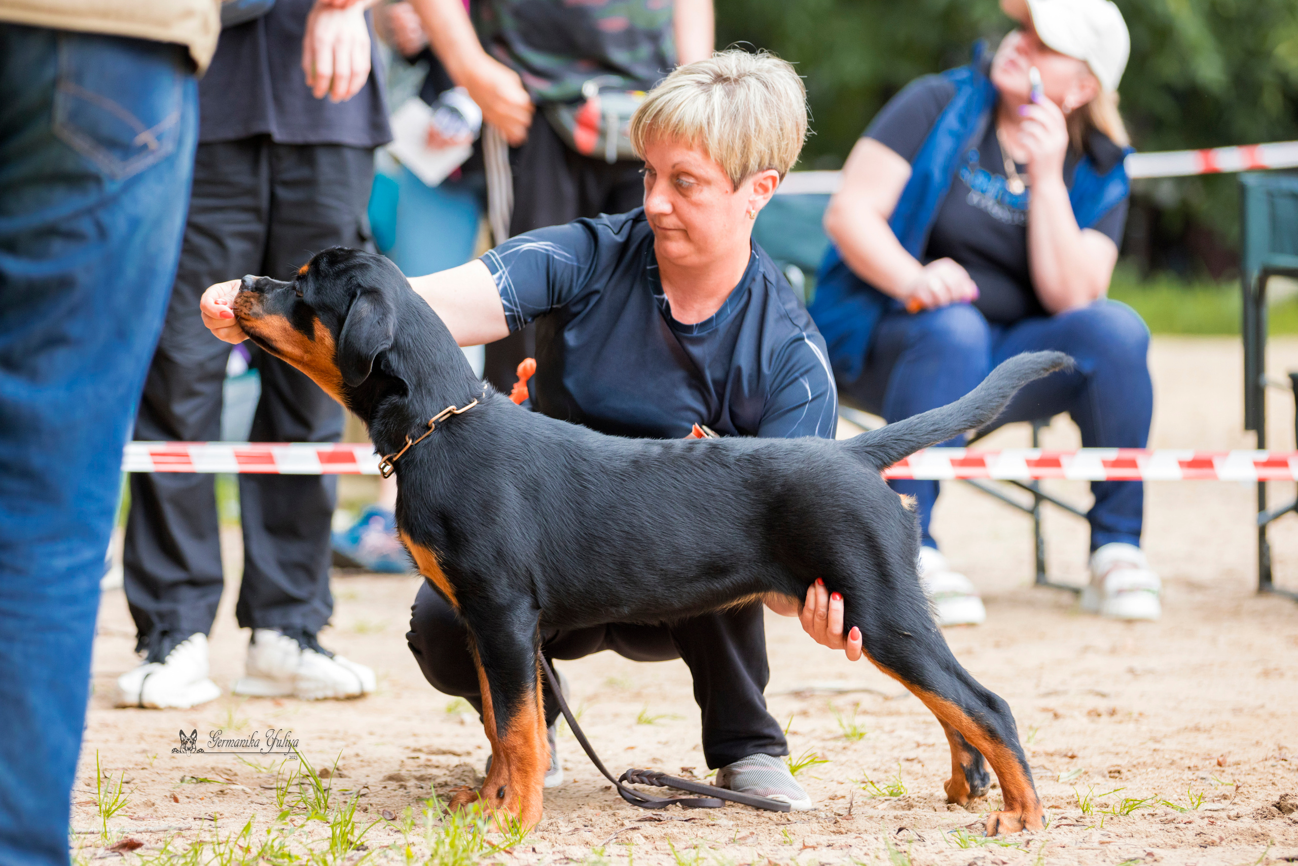 Ховрино 2хмоно ротвейлеров 13.08.2023. Фотограф-анималист Юлия Германика