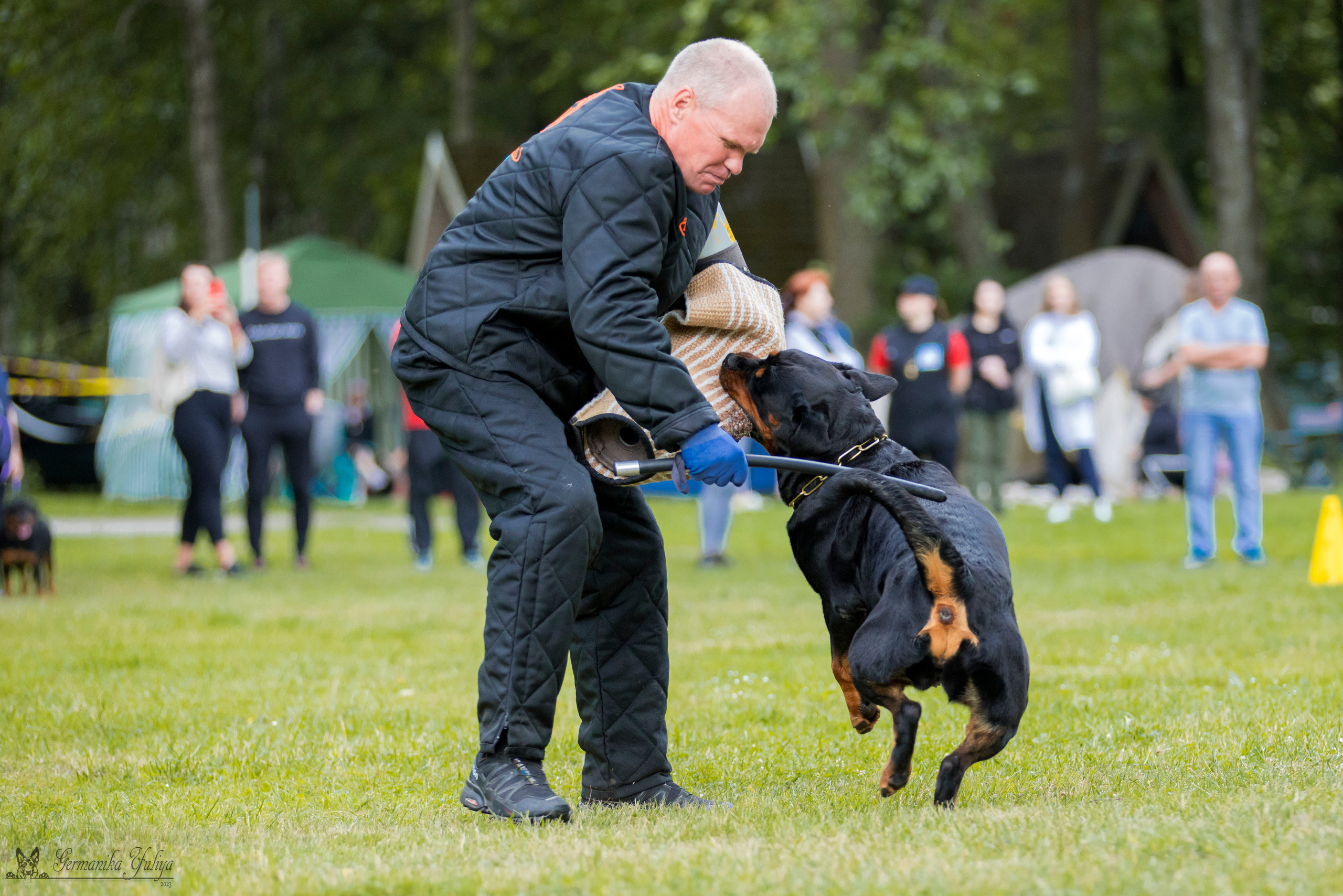 ПК и КЧК ротвейлеров Питер 22-23.07.2023. Фотограф-анималист Юлия Германика