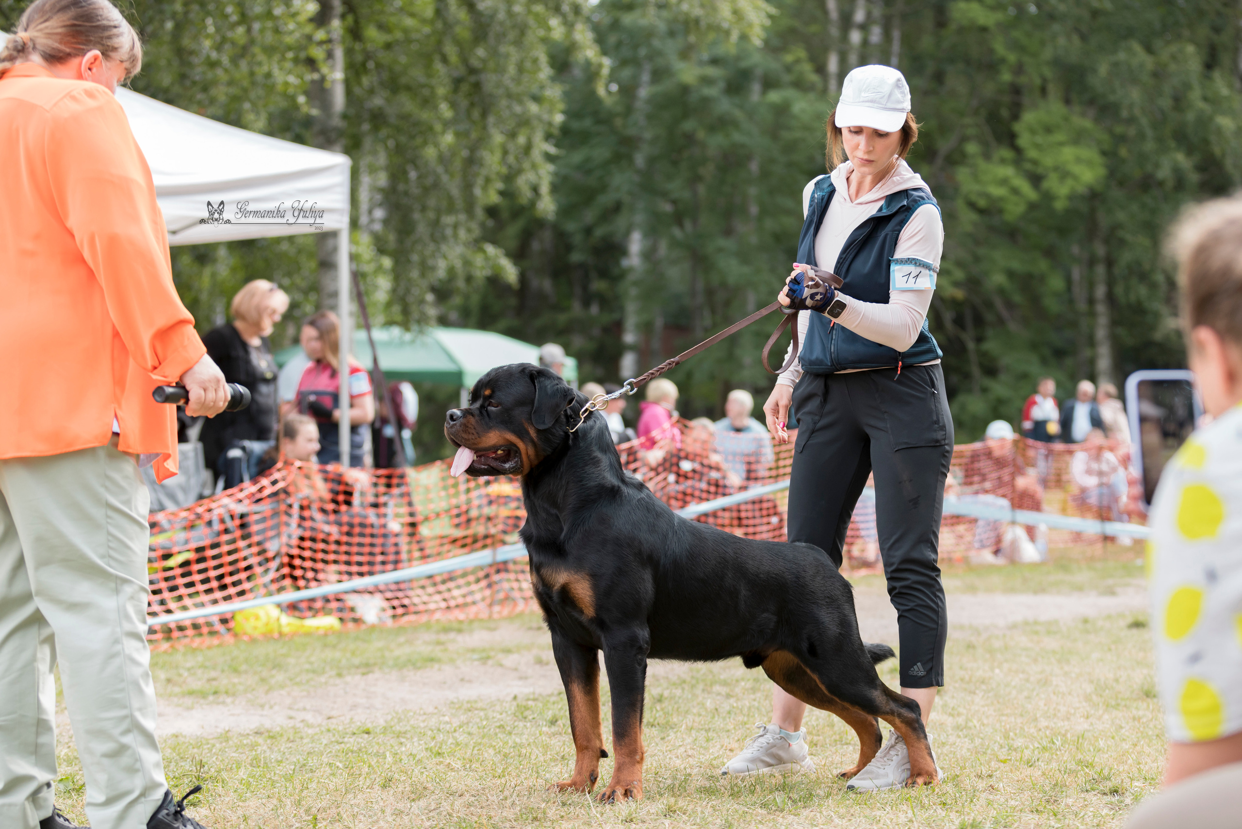 ПК и КЧК ротвейлеров Питер 22-23.07.2023. Фотограф-анималист Юлия Германика