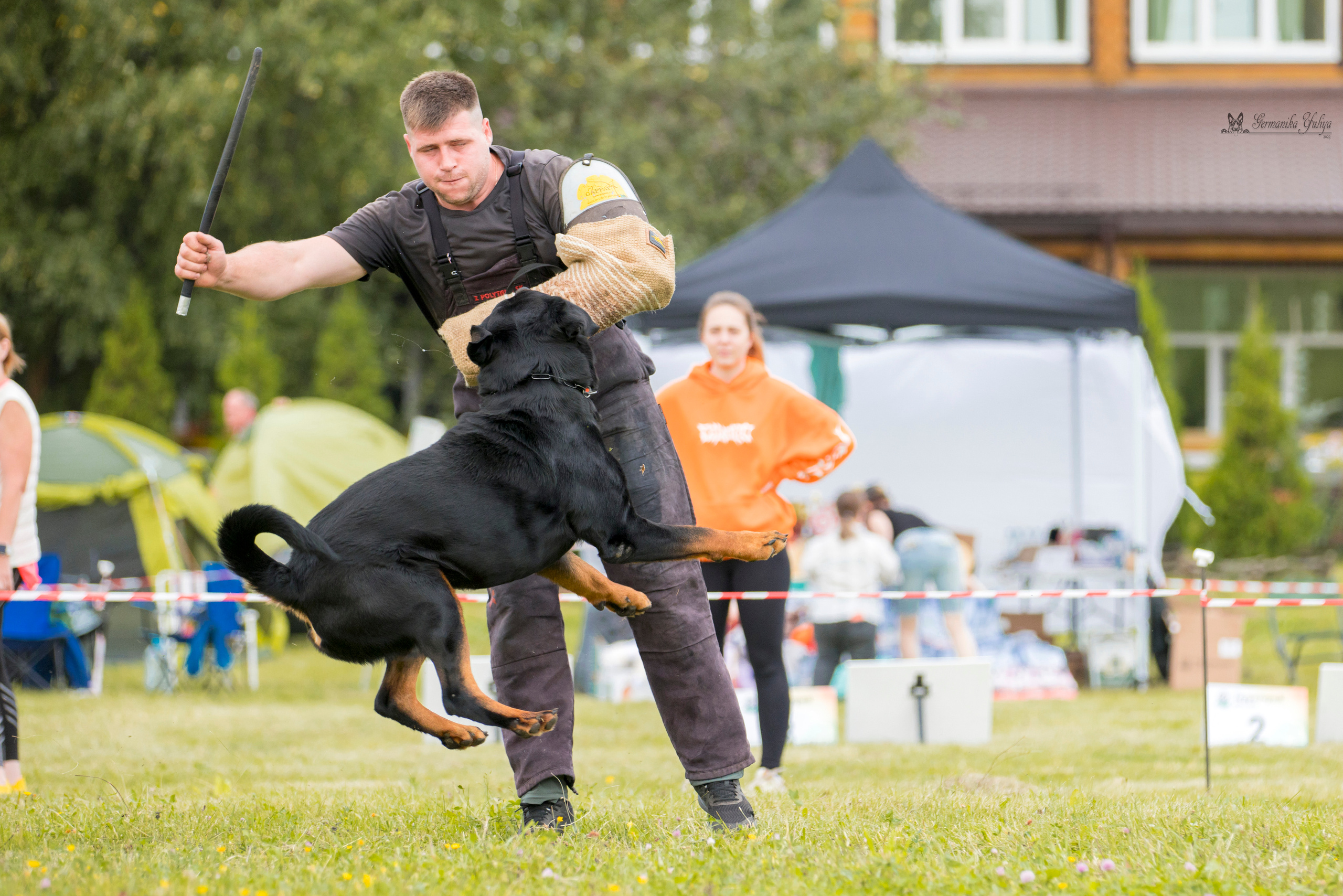 Рязань моно ротвейлеров 12.08.2023. Фотограф-анималист Юлия Германика