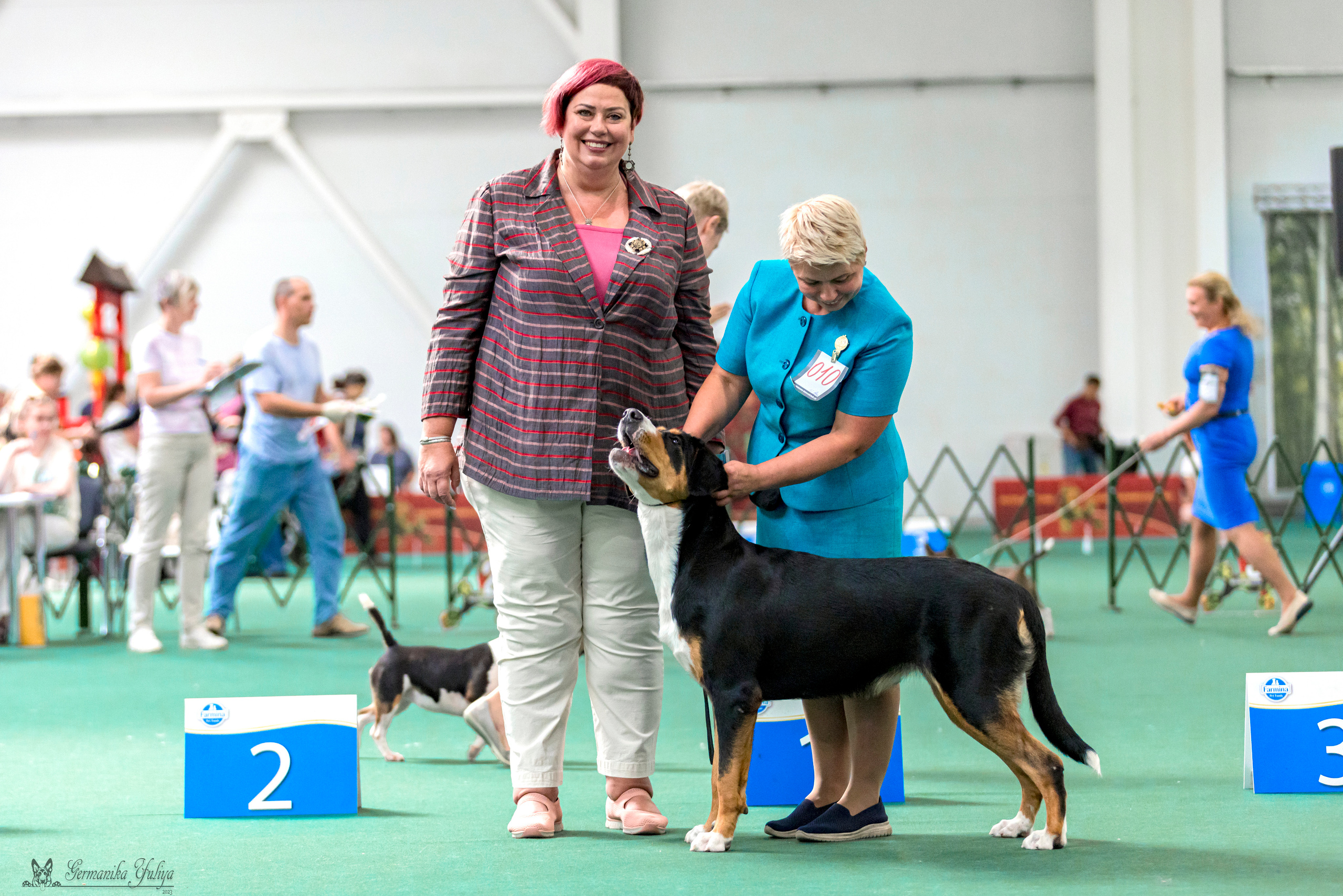 Крокус,Псков 5-6.08.2023. Фотограф-анималист Юлия Германика