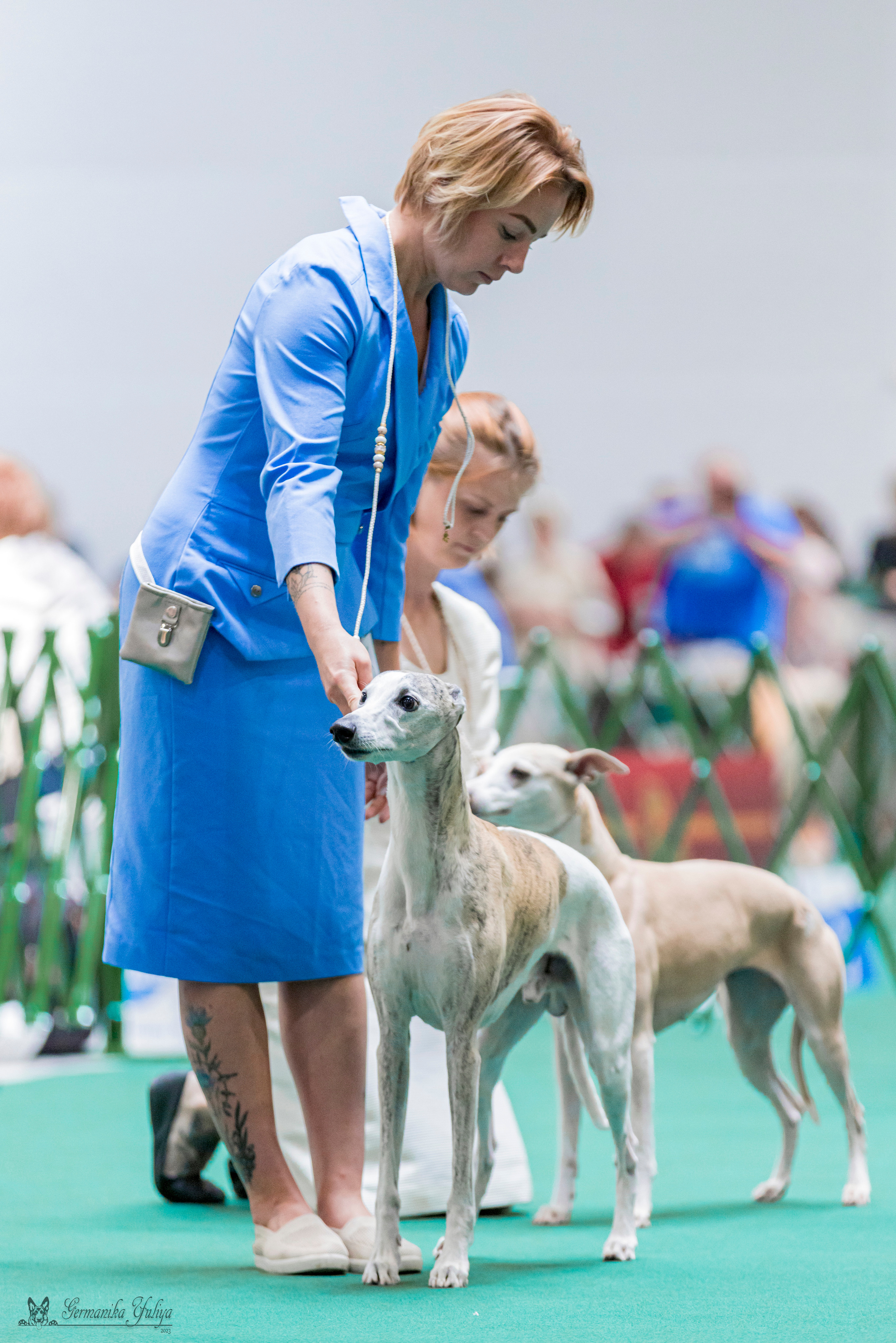 Крокус,Псков 5-6.08.2023. Фотограф-анималист Юлия Германика