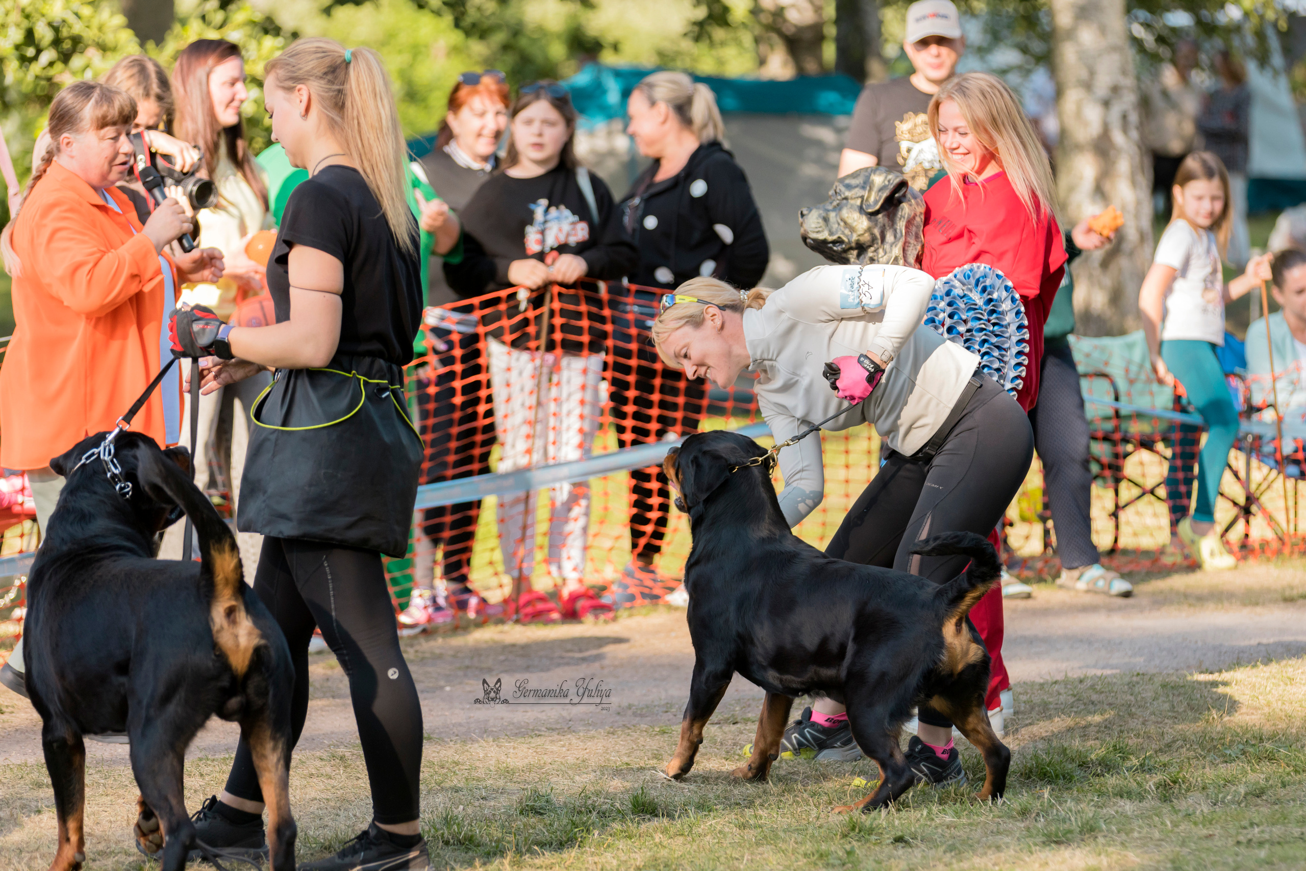 ПК и КЧК ротвейлеров Питер 22-23.07.2023. Фотограф-анималист Юлия Германика