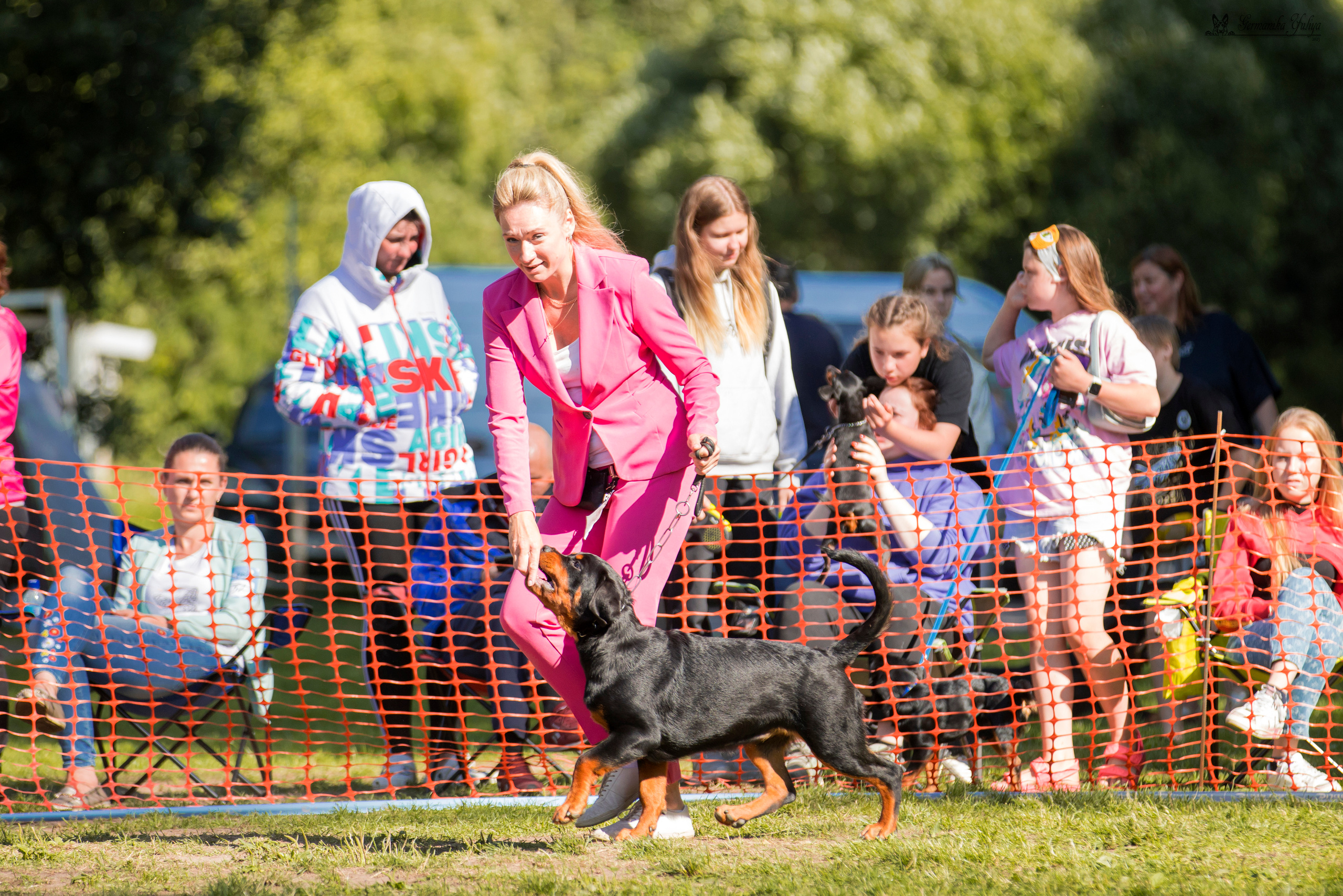 ПК и КЧК ротвейлеров Питер 22-23.07.2023. Фотограф-анималист Юлия Германика