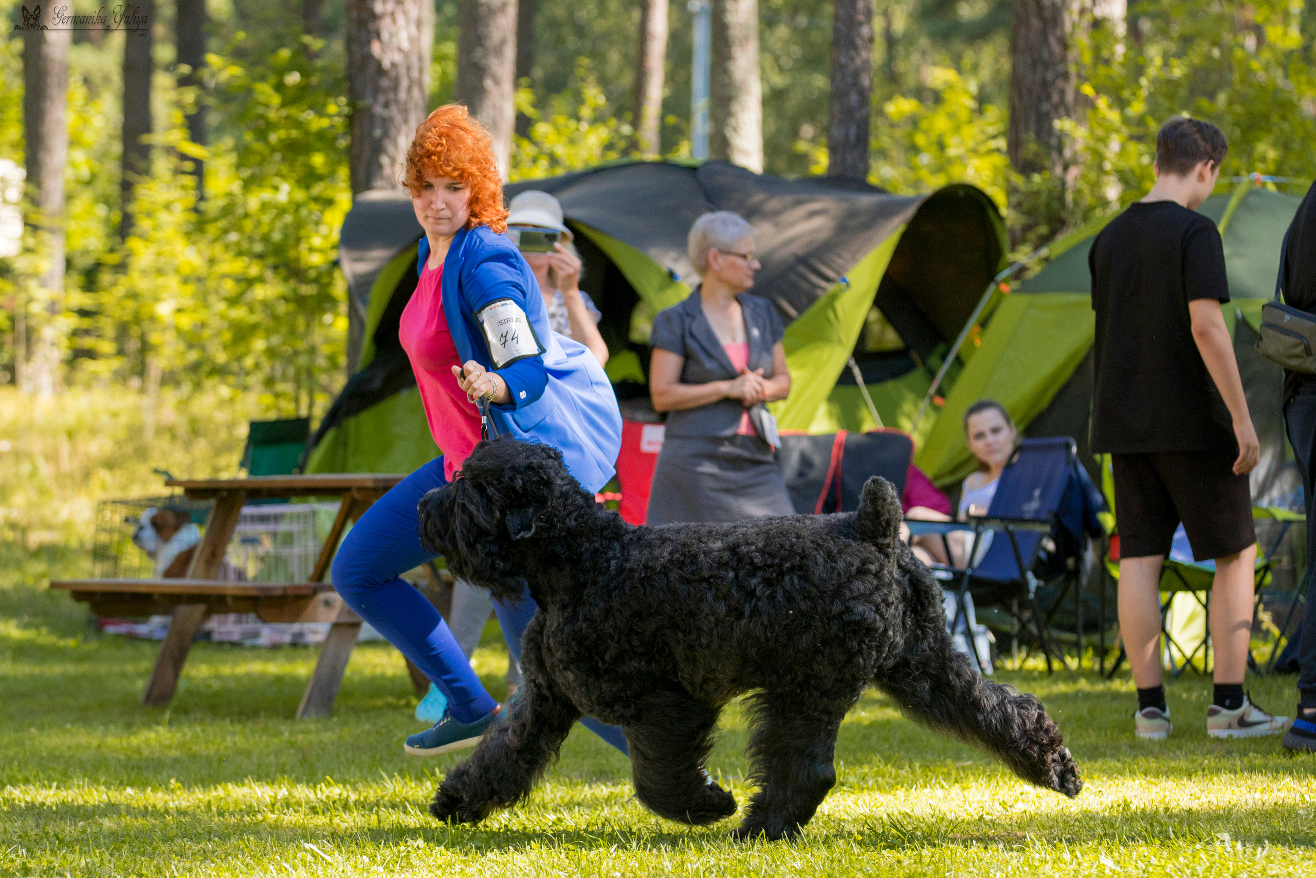 Крокус,Псков 5-6.08.2023. Фотограф-анималист Юлия Германика