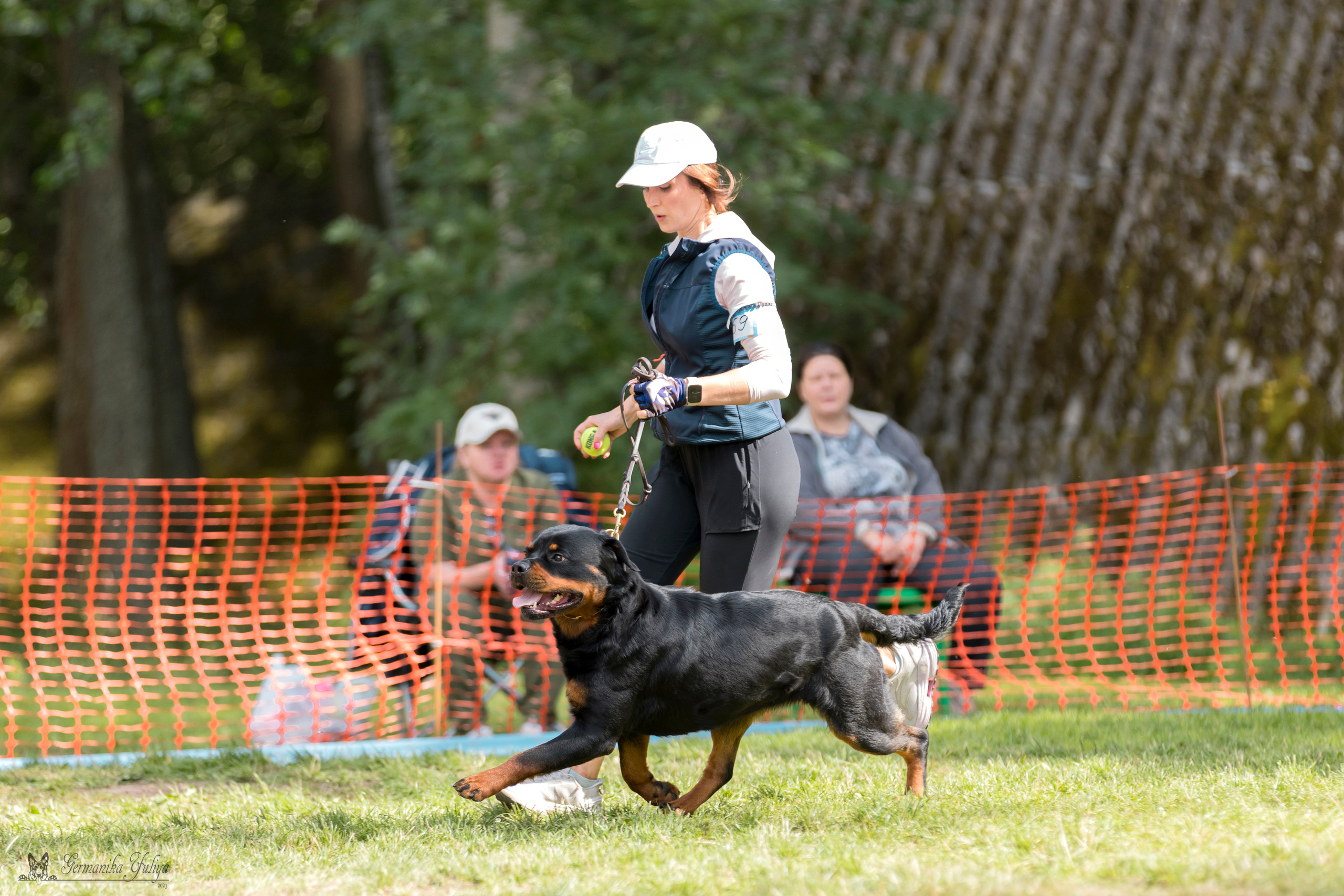 ПК и КЧК ротвейлеров Питер 22-23.07.2023. Фотограф-анималист Юлия Германика