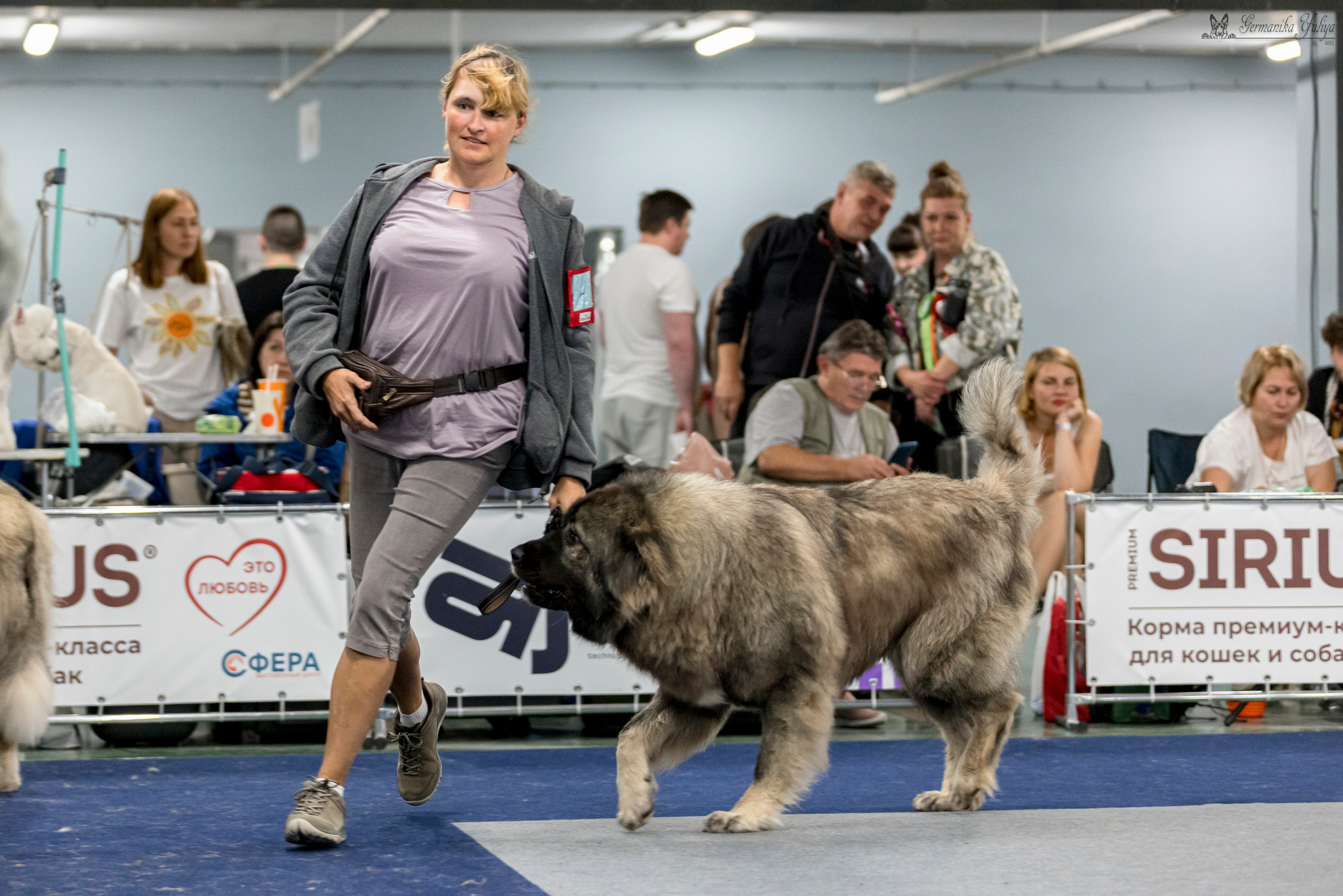 Сфера-Ховрино 29-30.07.2023. Фотограф-анималист Юлия Германика