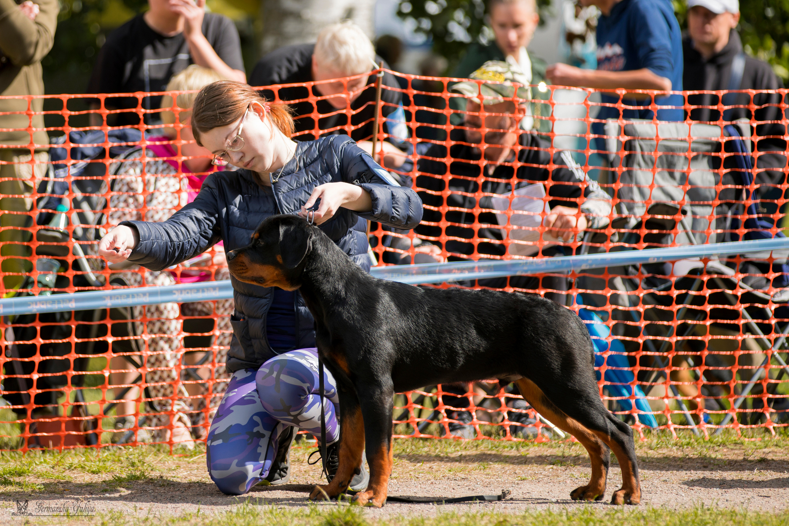 ПК и КЧК ротвейлеров Питер 22-23.07.2023. Фотограф-анималист Юлия Германика