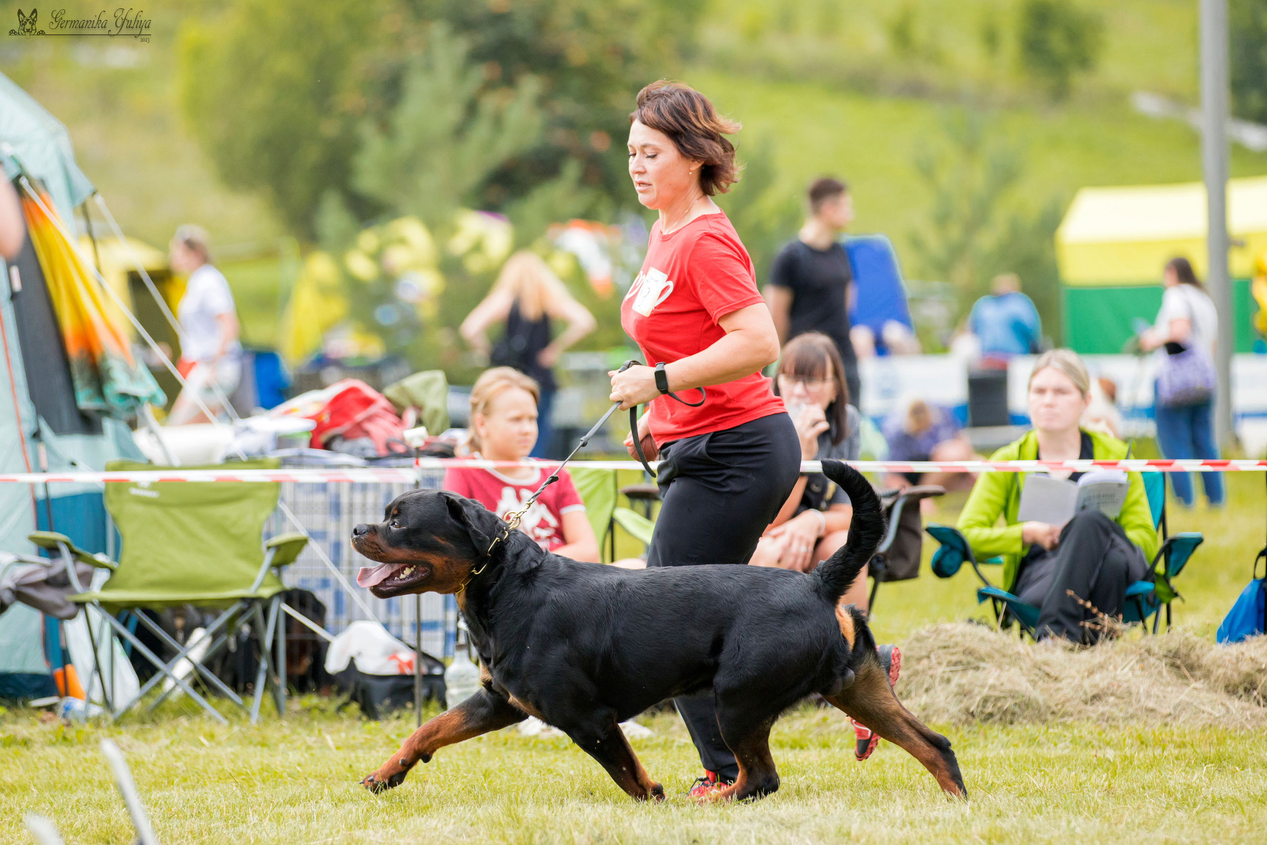 Рязань моно ротвейлеров 12.08.2023. Фотограф-анималист Юлия Германика