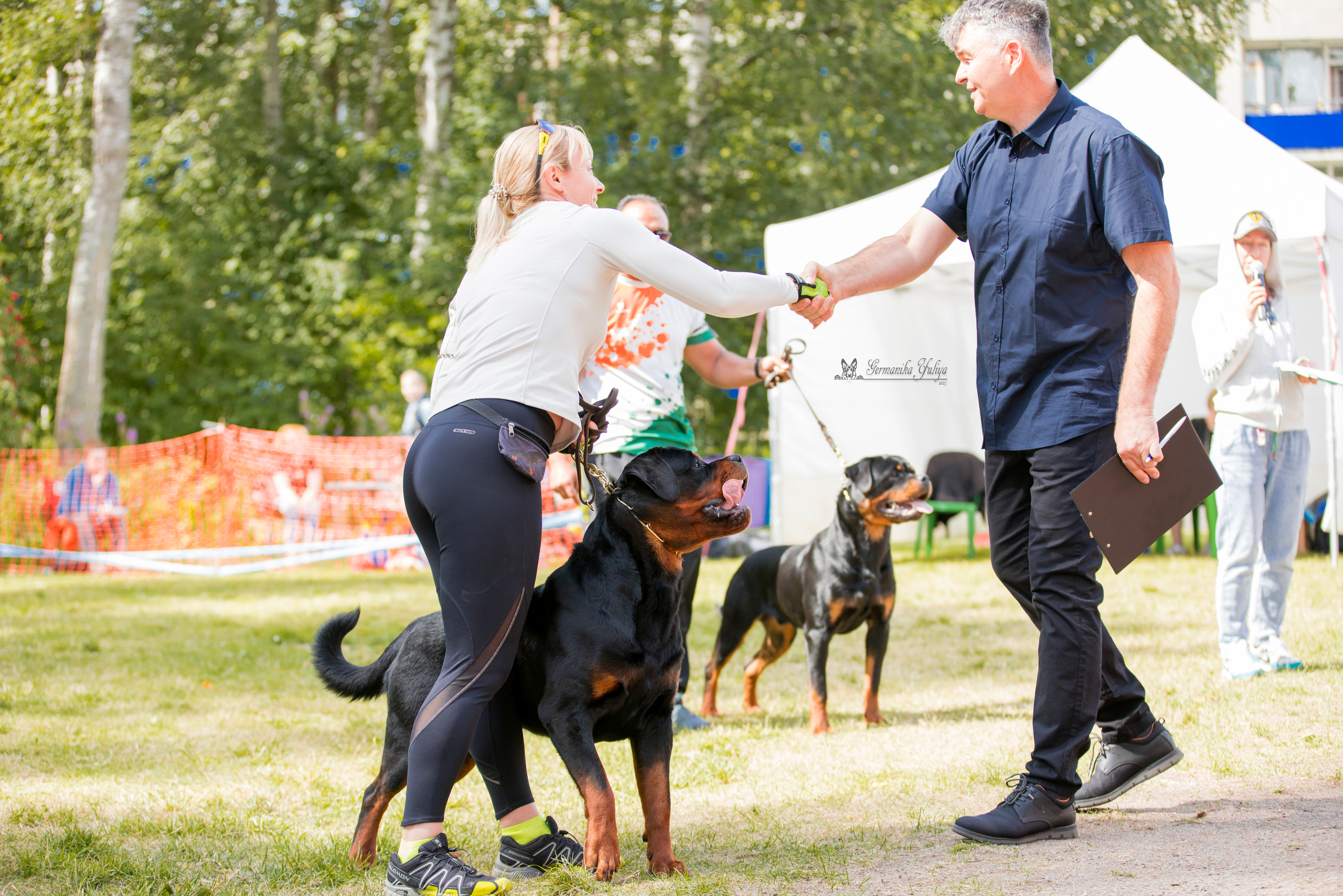 ПК и КЧК ротвейлеров Питер 22-23.07.2023. Фотограф-анималист Юлия Германика