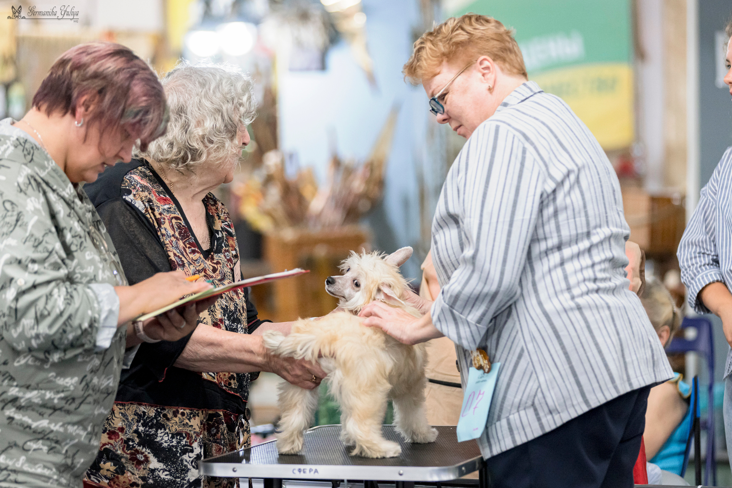 Сфера-Ховрино 29-30.07.2023. Фотограф-анималист Юлия Германика