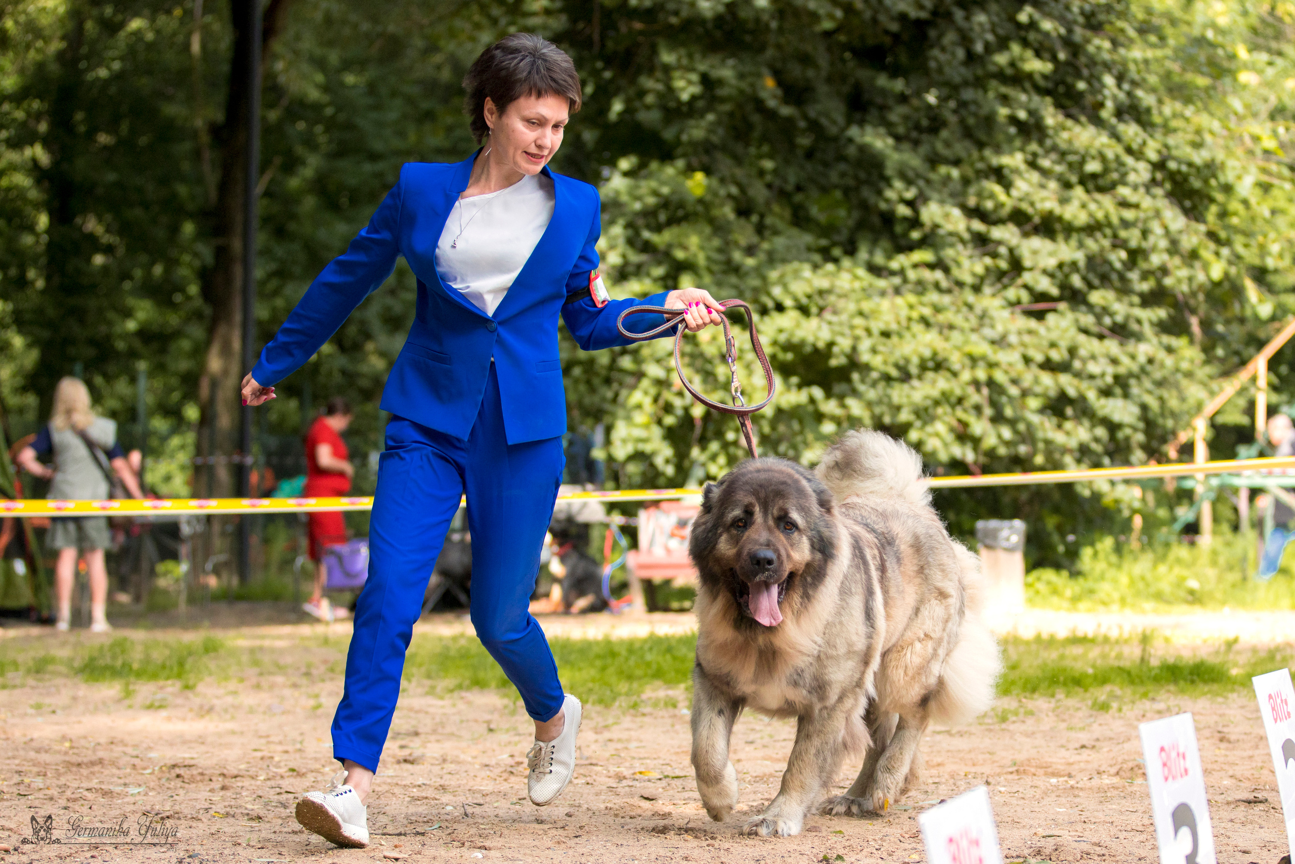 Сфера-Ховрино 29-30.07.2023. Фотограф-анималист Юлия Германика