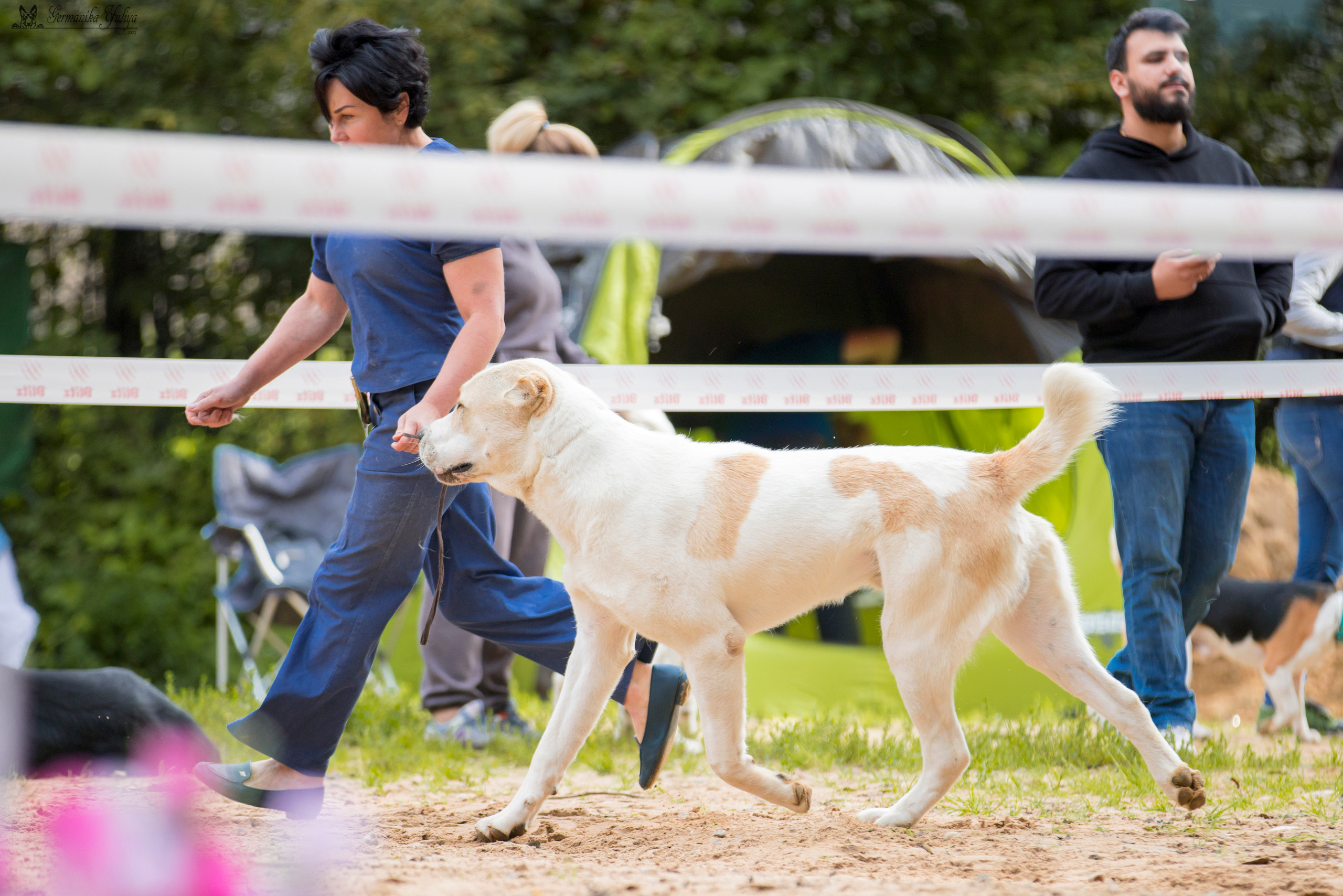 Ховрино 26.08.2023. Фотограф-анималист Юлия Германика