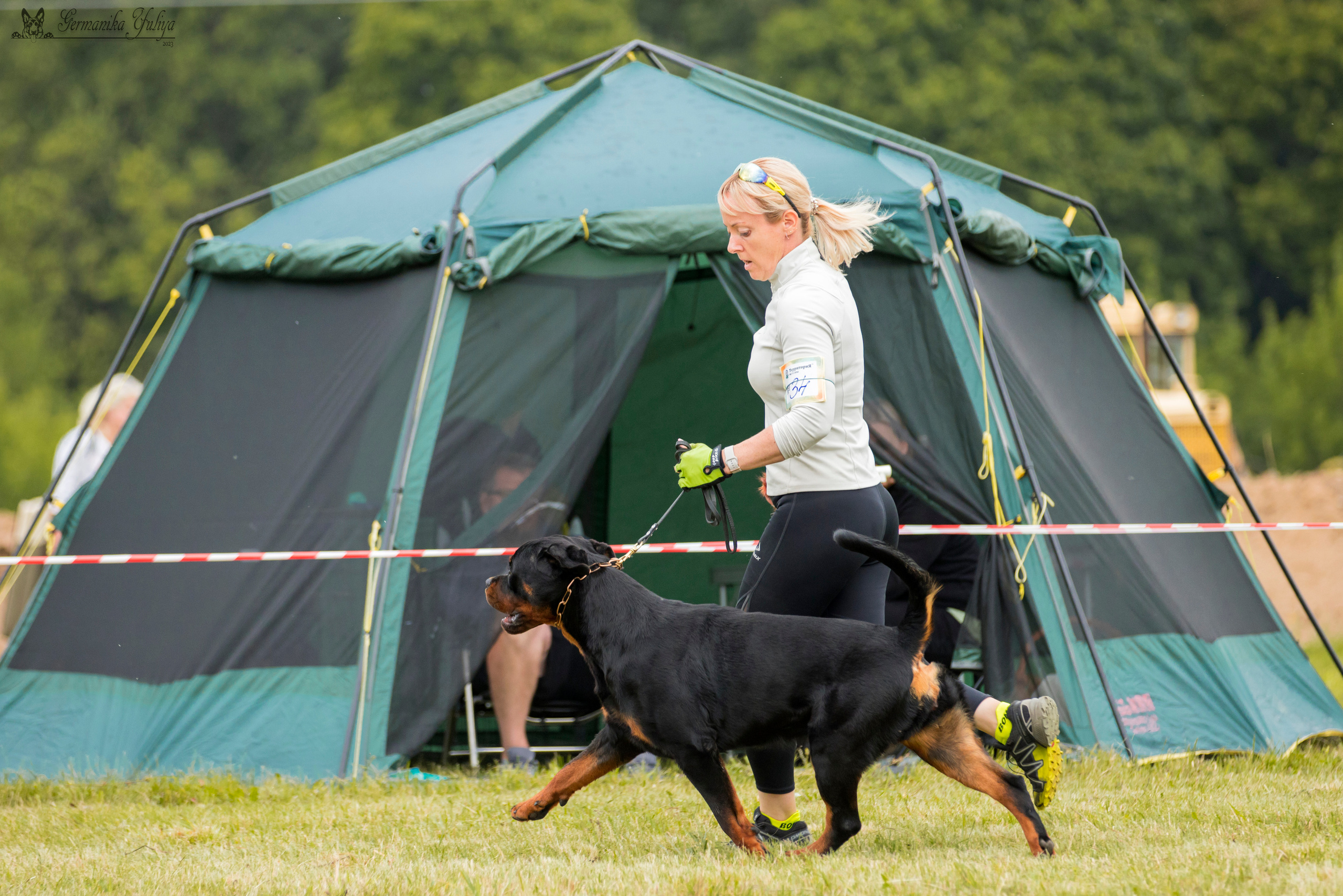 Рязань моно ротвейлеров 12.08.2023. Фотограф-анималист Юлия Германика