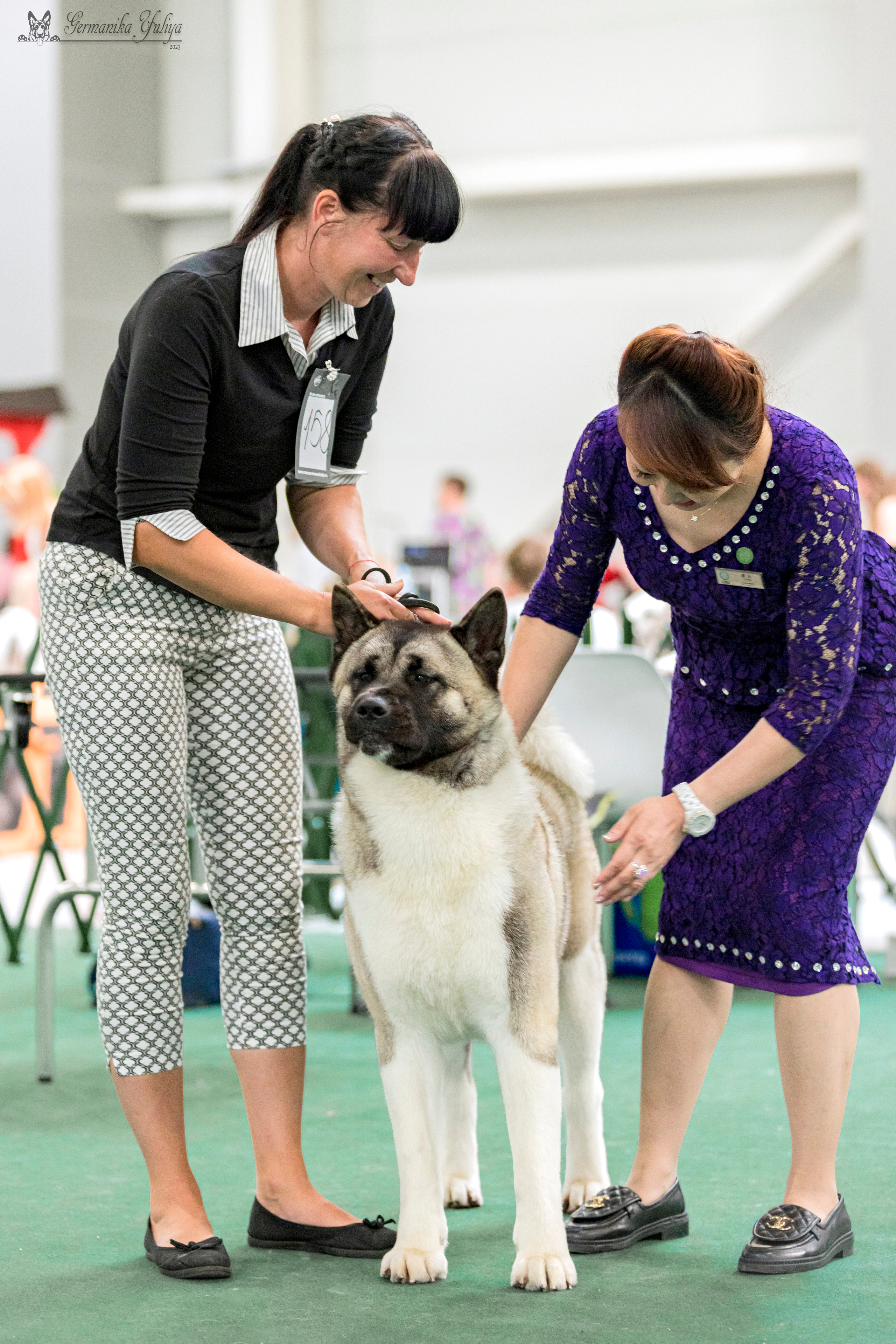 Крокус,Псков 5-6.08.2023. Фотограф-анималист Юлия Германика