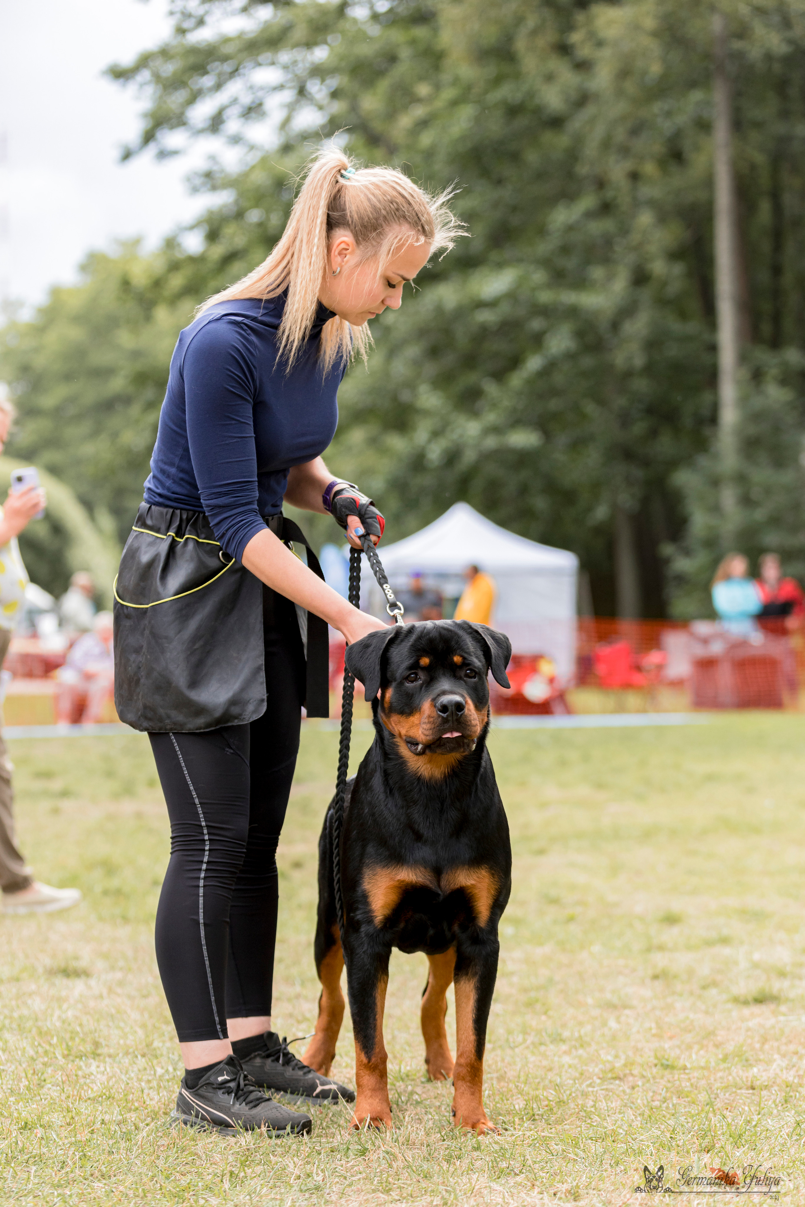 ПК и КЧК ротвейлеров Питер 22-23.07.2023. Фотограф-анималист Юлия Германика