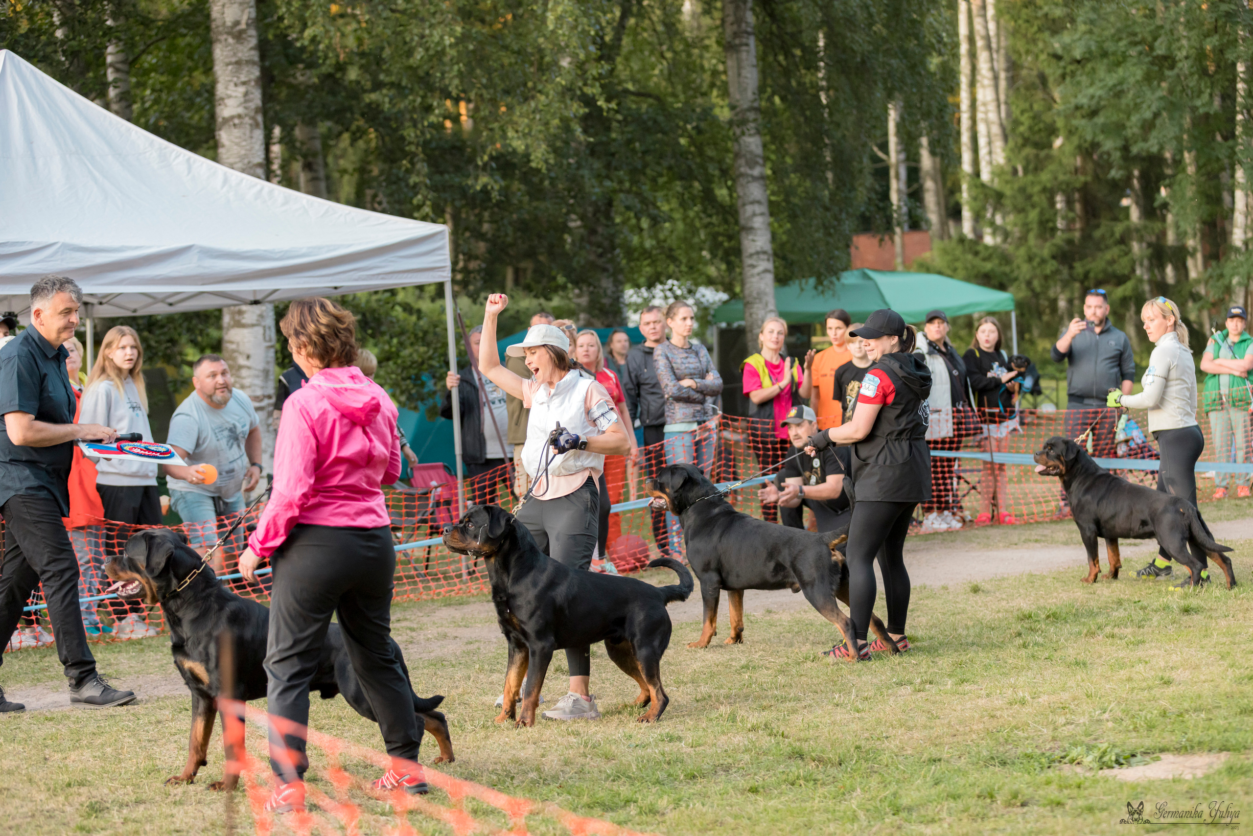ПК и КЧК ротвейлеров Питер 22-23.07.2023. Фотограф-анималист Юлия Германика