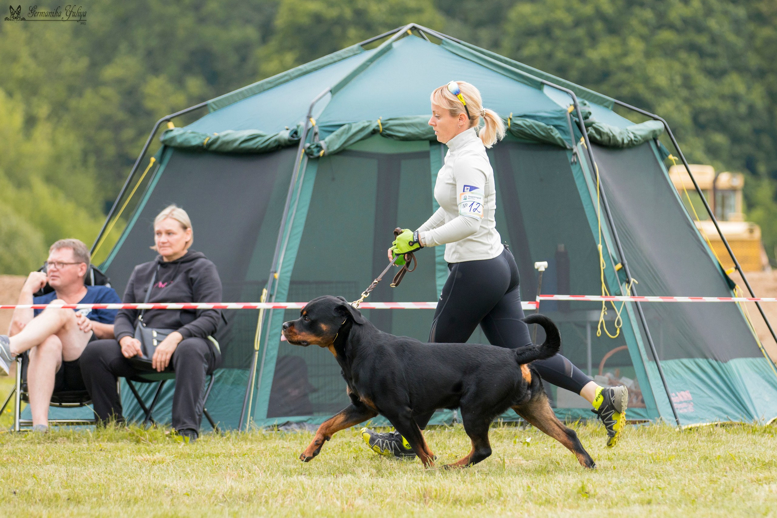 Рязань моно ротвейлеров 12.08.2023. Фотограф-анималист Юлия Германика