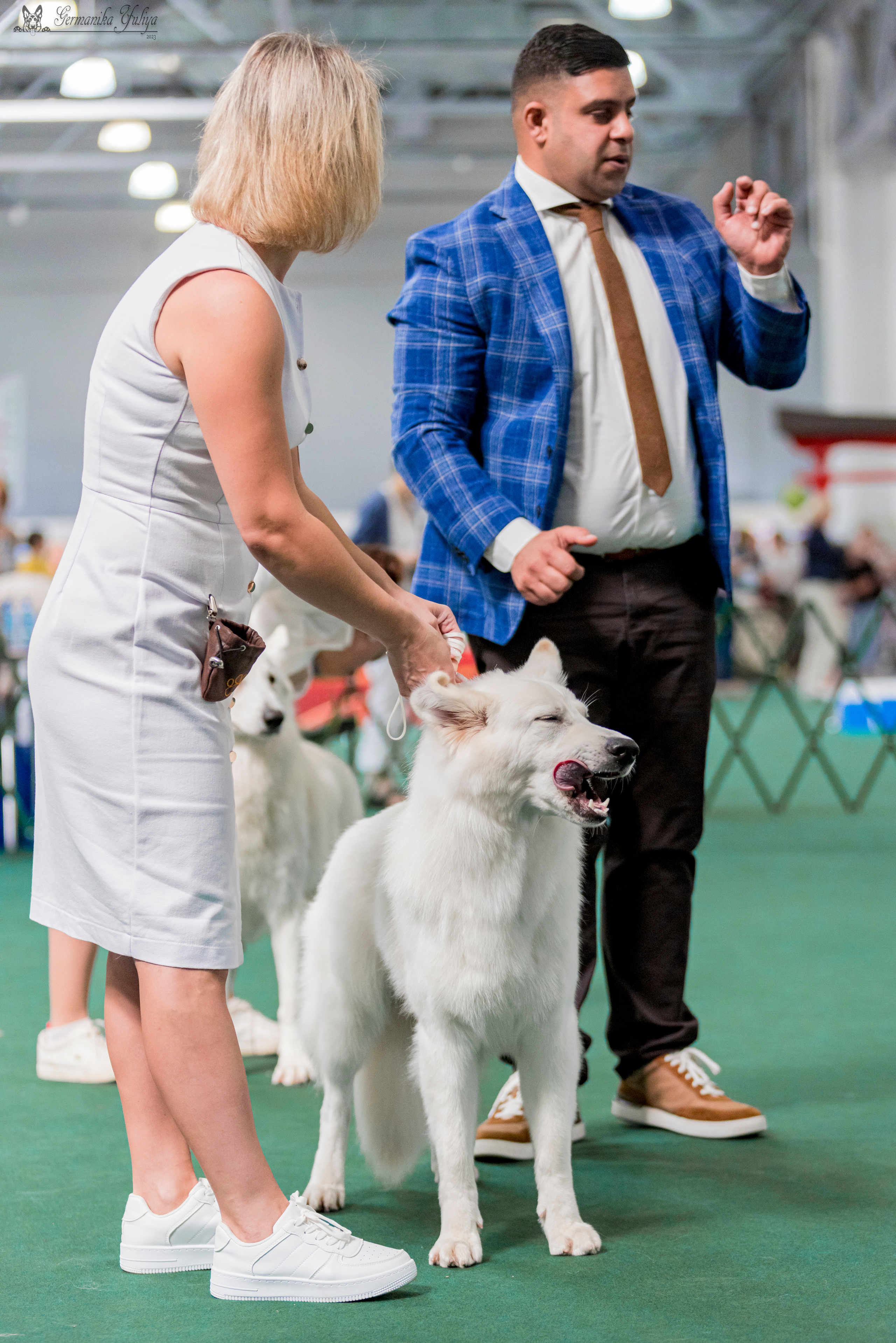 Крокус,Псков 5-6.08.2023. Фотограф-анималист Юлия Германика