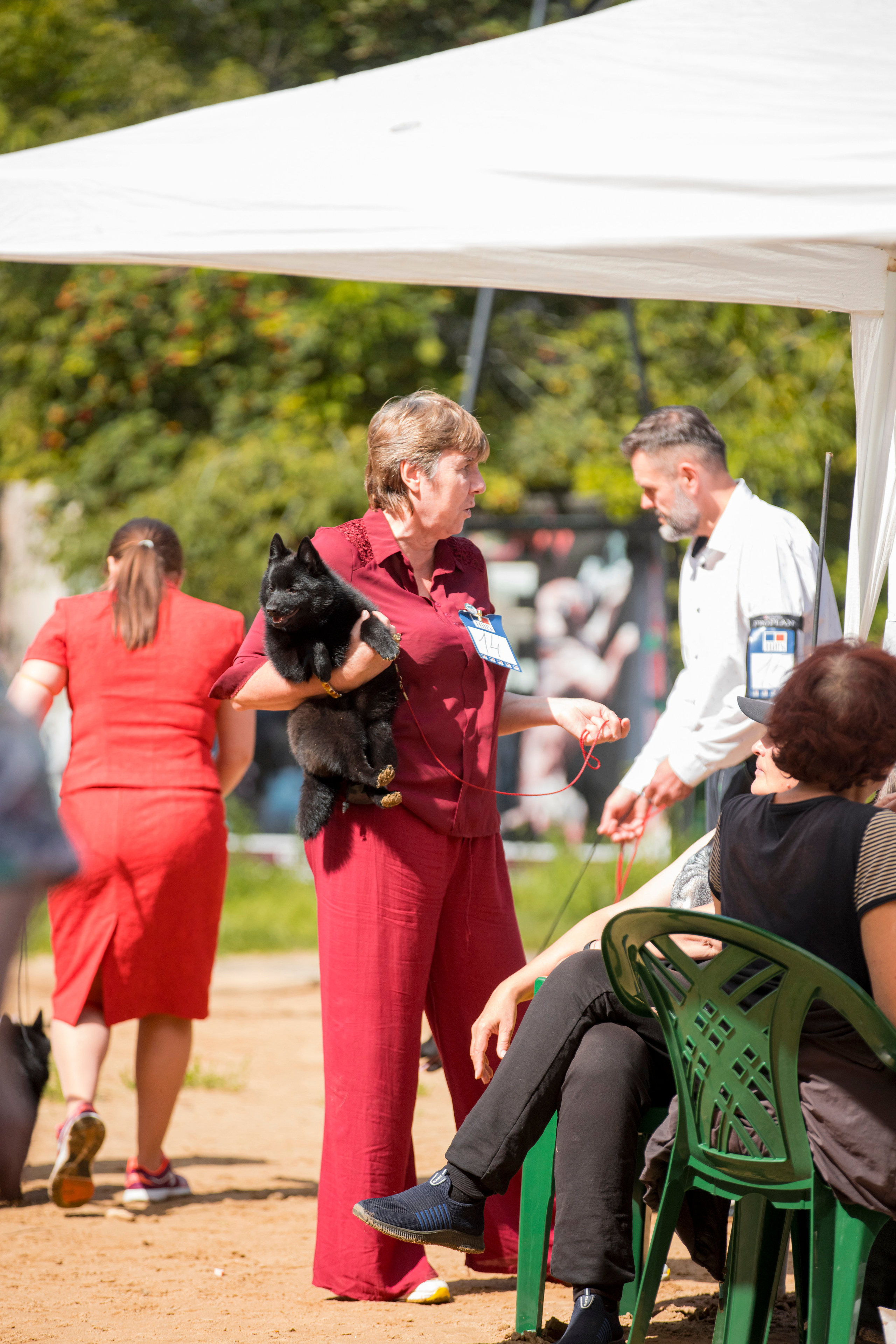 Сфера-Ховрино 29-30.07.2023. Фотограф-анималист Юлия Германика