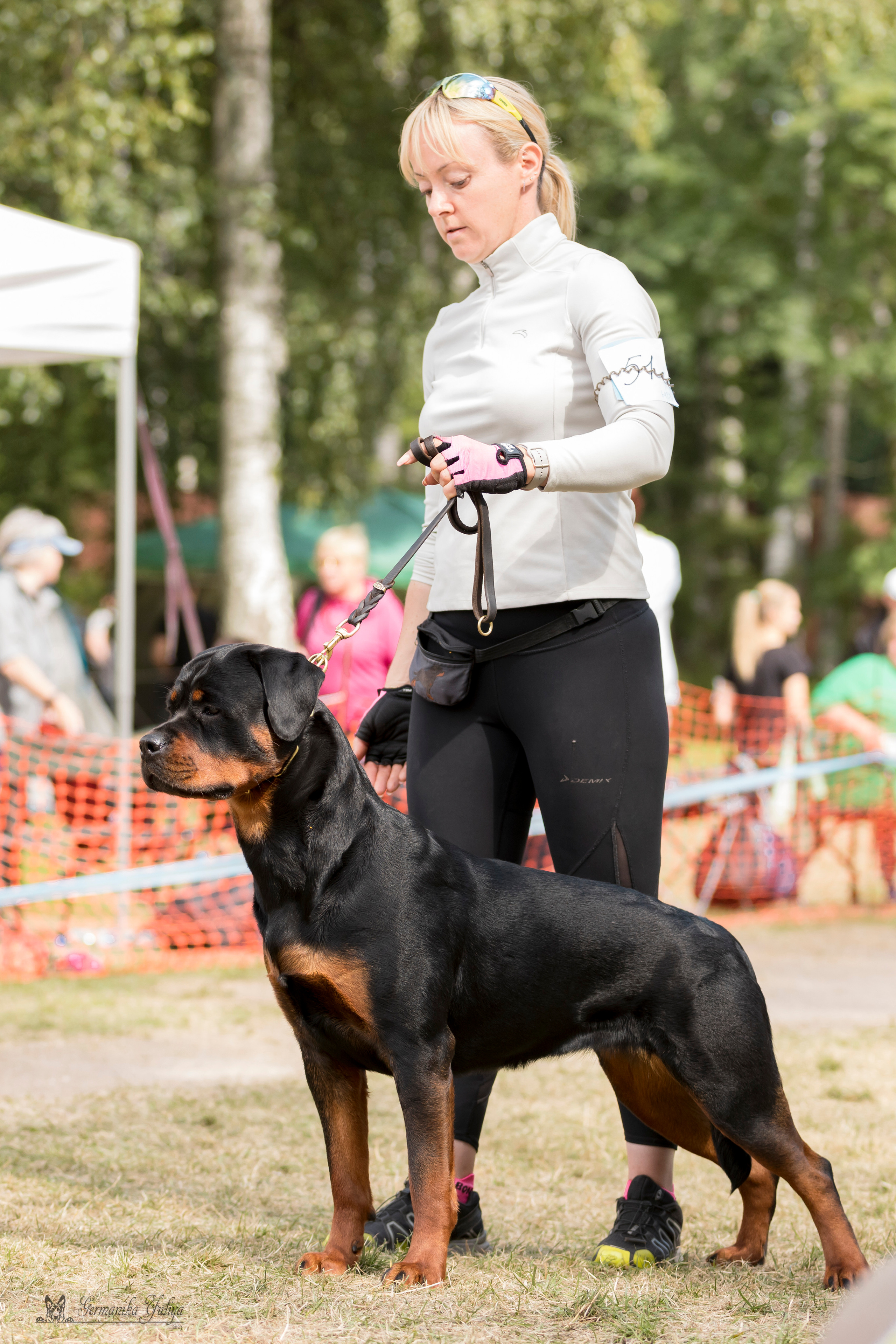 ПК и КЧК ротвейлеров Питер 22-23.07.2023. Фотограф-анималист Юлия Германика