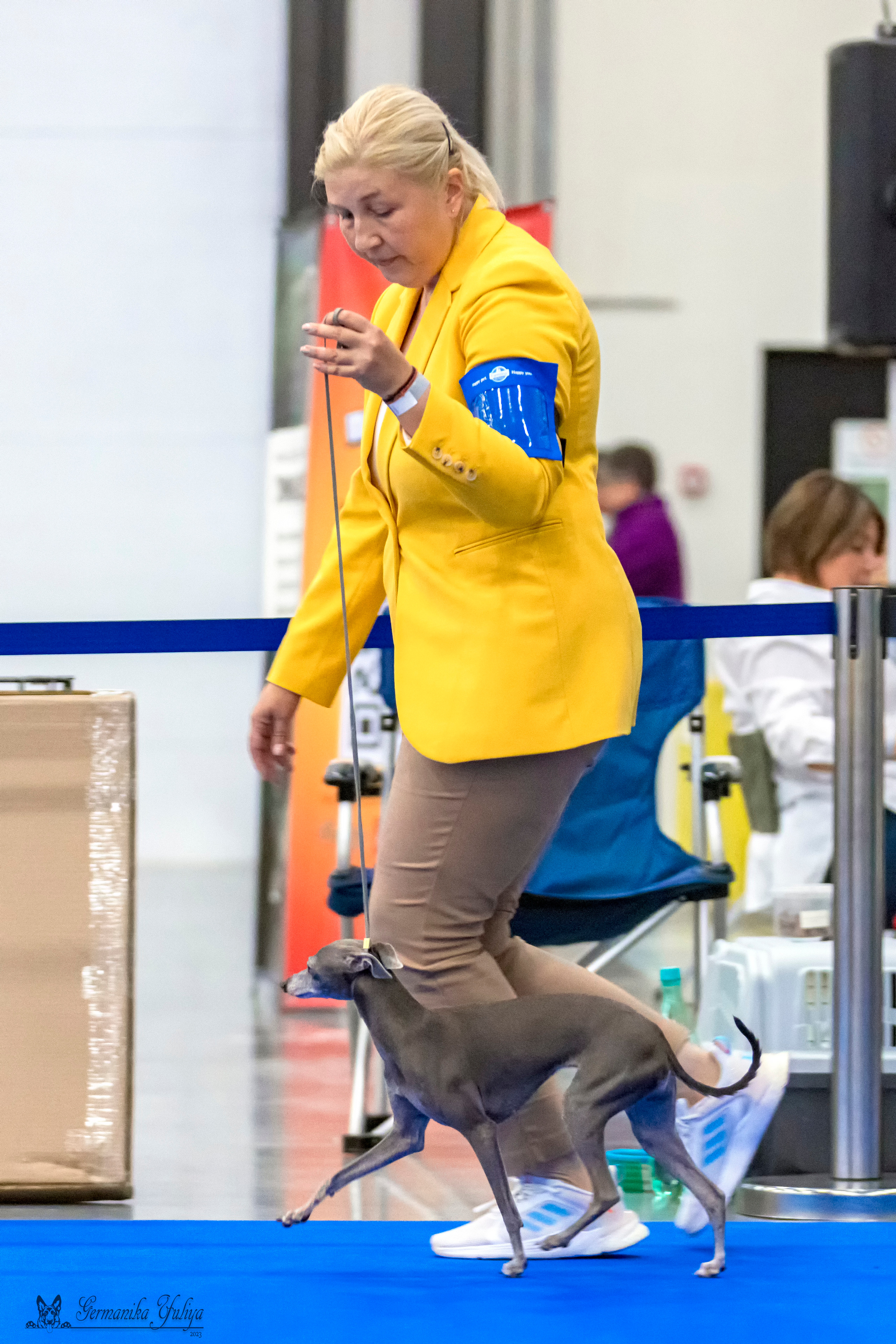 Питер 2-3.09.2023. Фотограф-анималист Юлия Германика