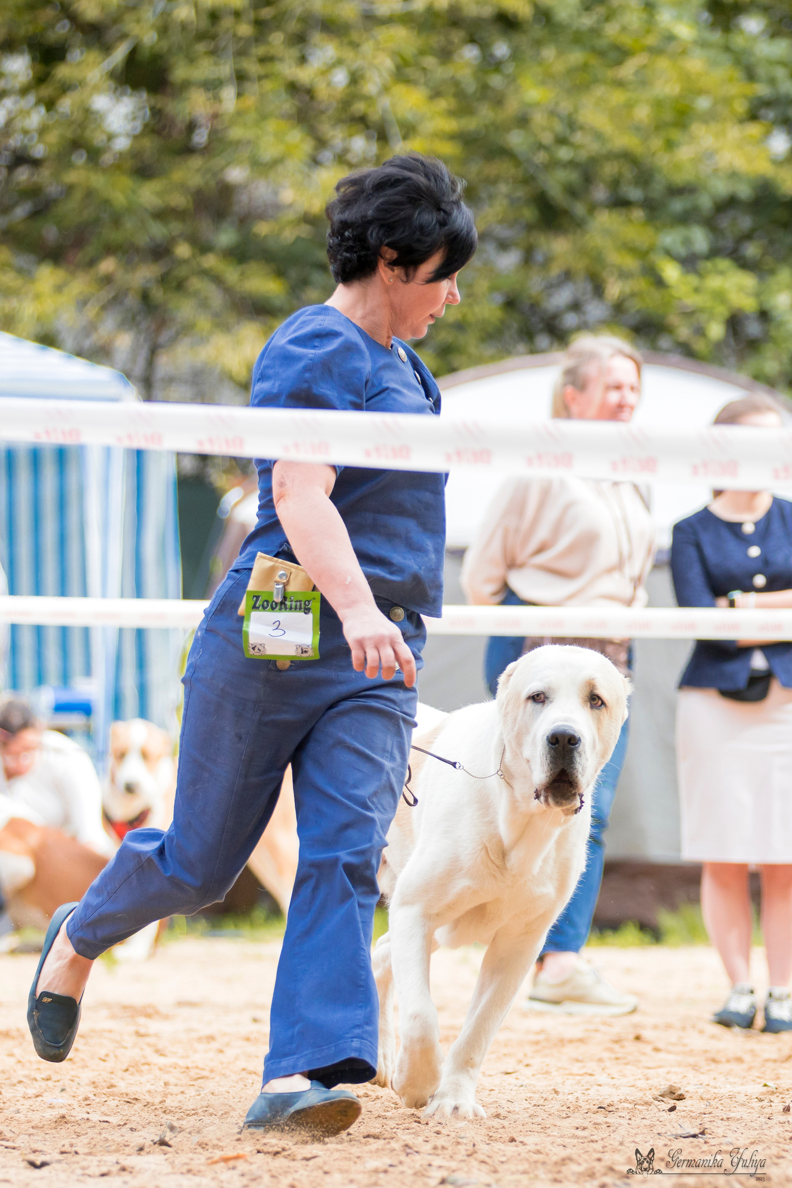 Ховрино 26.08.2023. Фотограф-анималист Юлия Германика