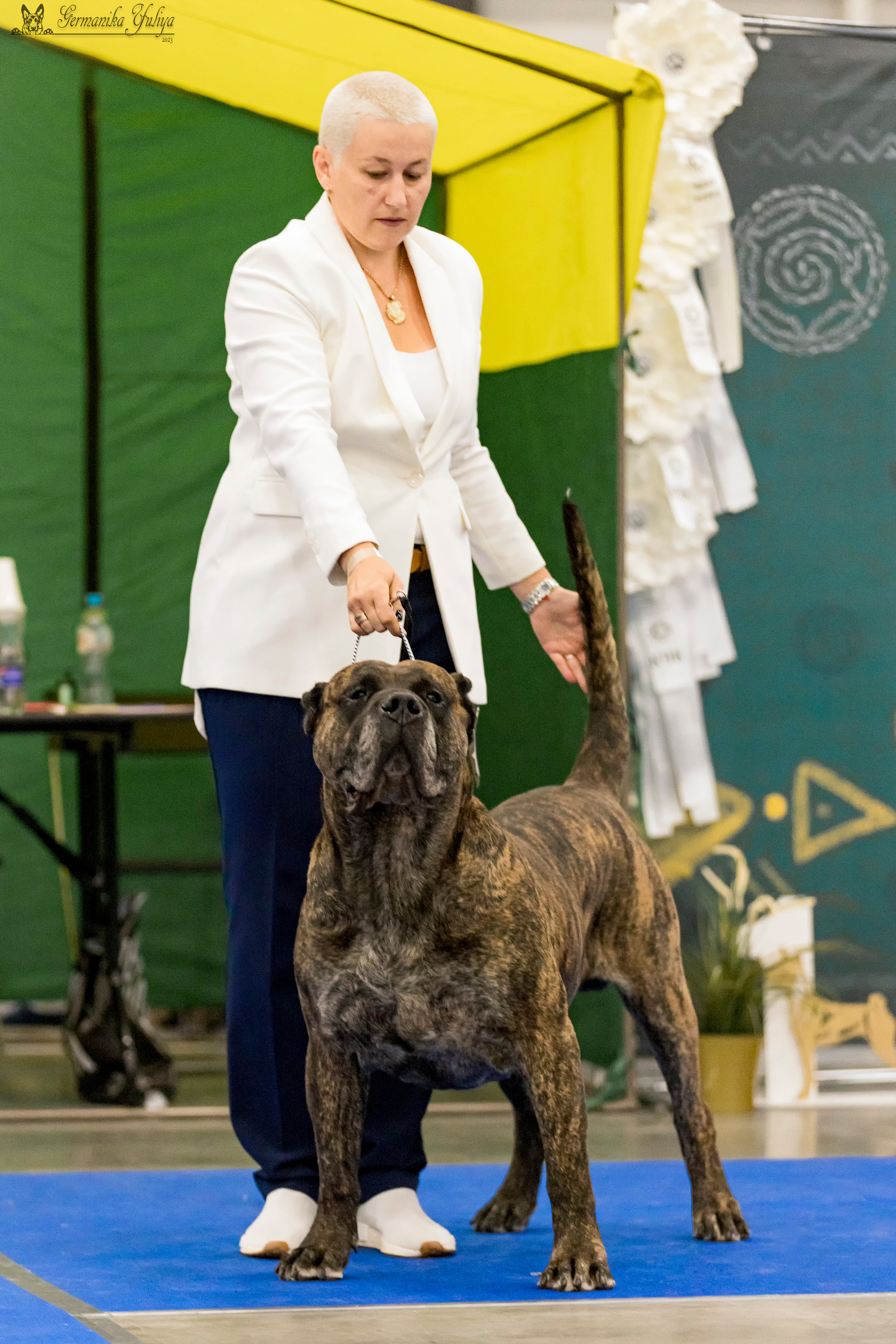 Питер 2-3.09.2023. Фотограф-анималист Юлия Германика