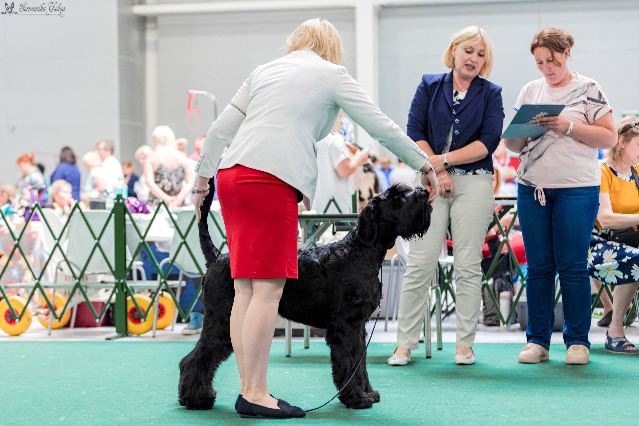 Крокус,Псков 5-6.08.2023. Фотограф-анималист Юлия Германика