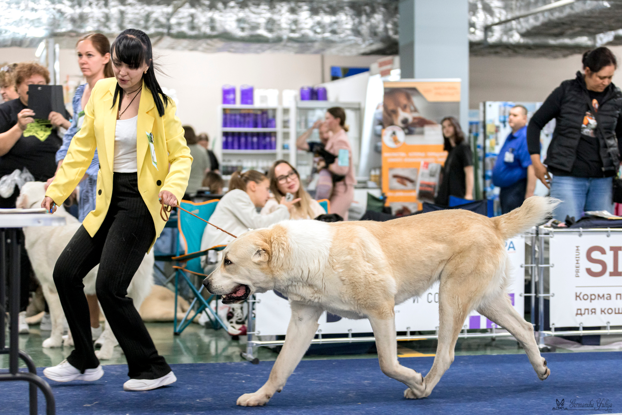 Сфера-Ховрино 29-30.07.2023. Фотограф-анималист Юлия Германика