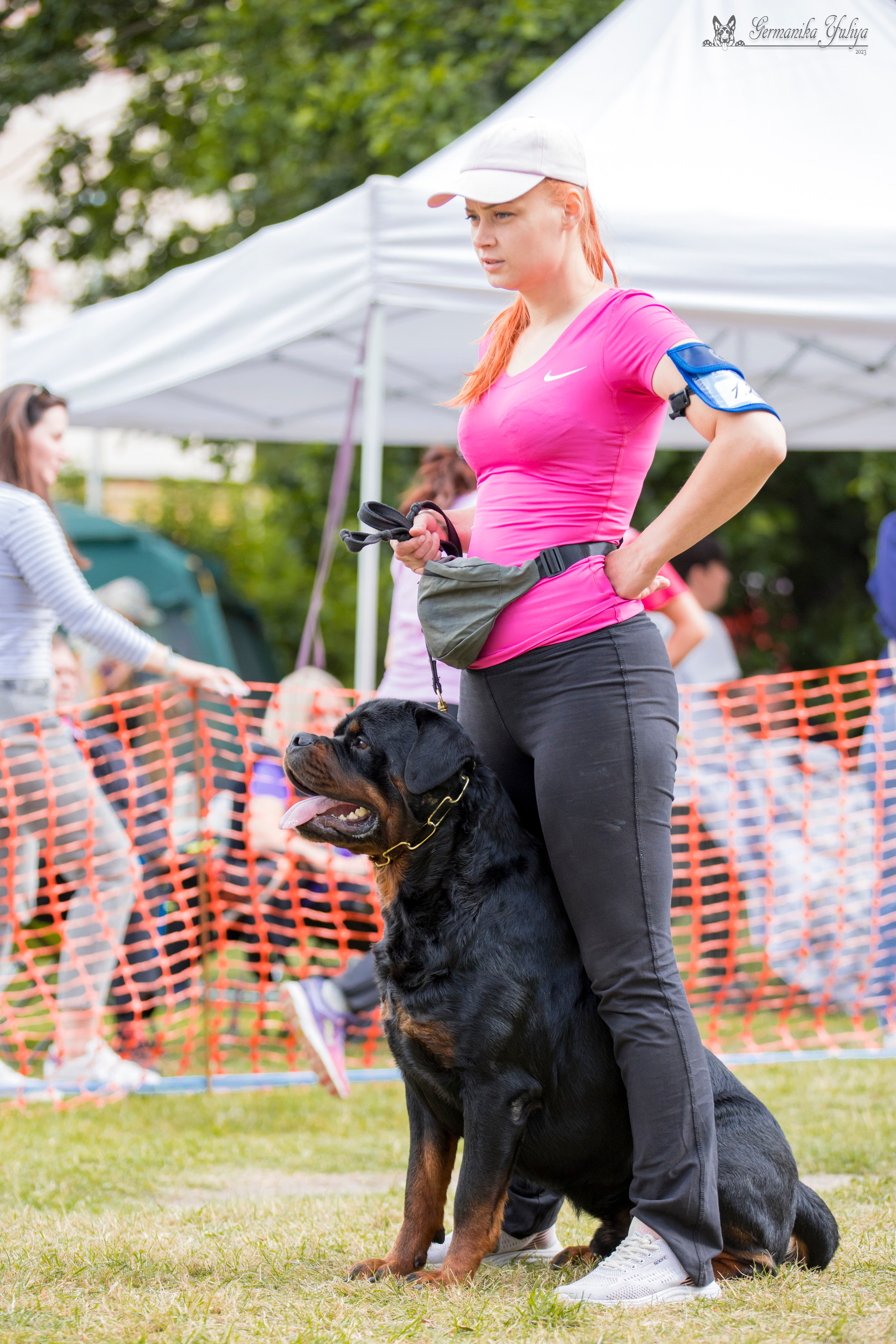 ПК и КЧК ротвейлеров Питер 22-23.07.2023. Фотограф-анималист Юлия Германика