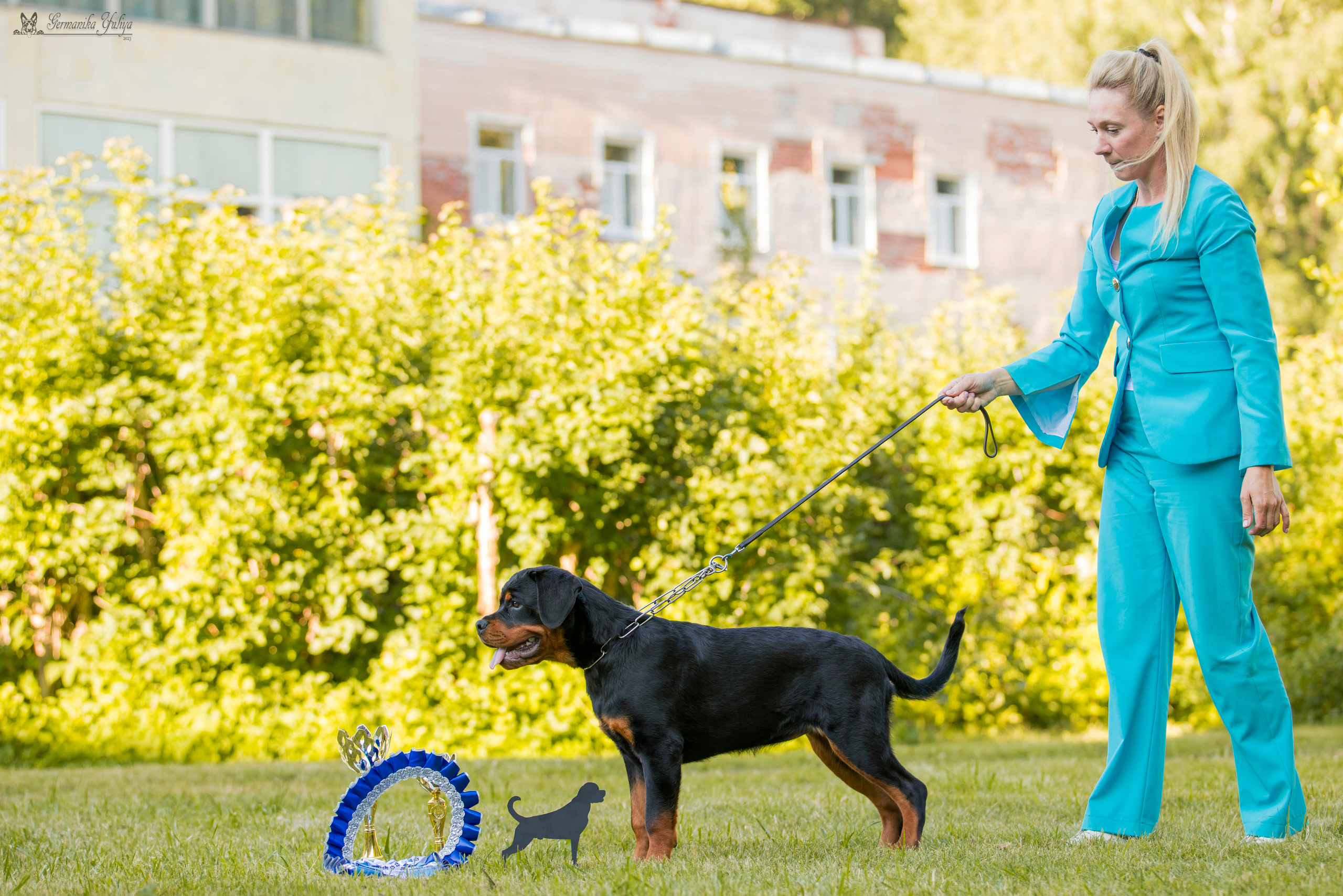 ПК и КЧК ротвейлеров Питер 22-23.07.2023. Фотограф-анималист Юлия Германика