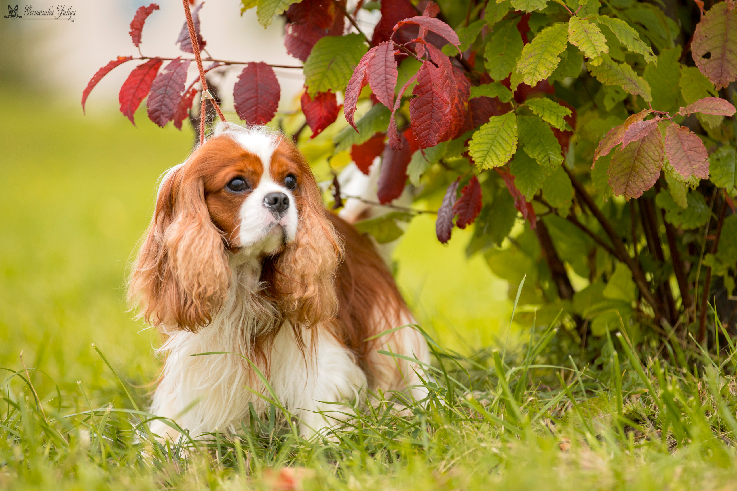 Переславль 9-10.09.2023