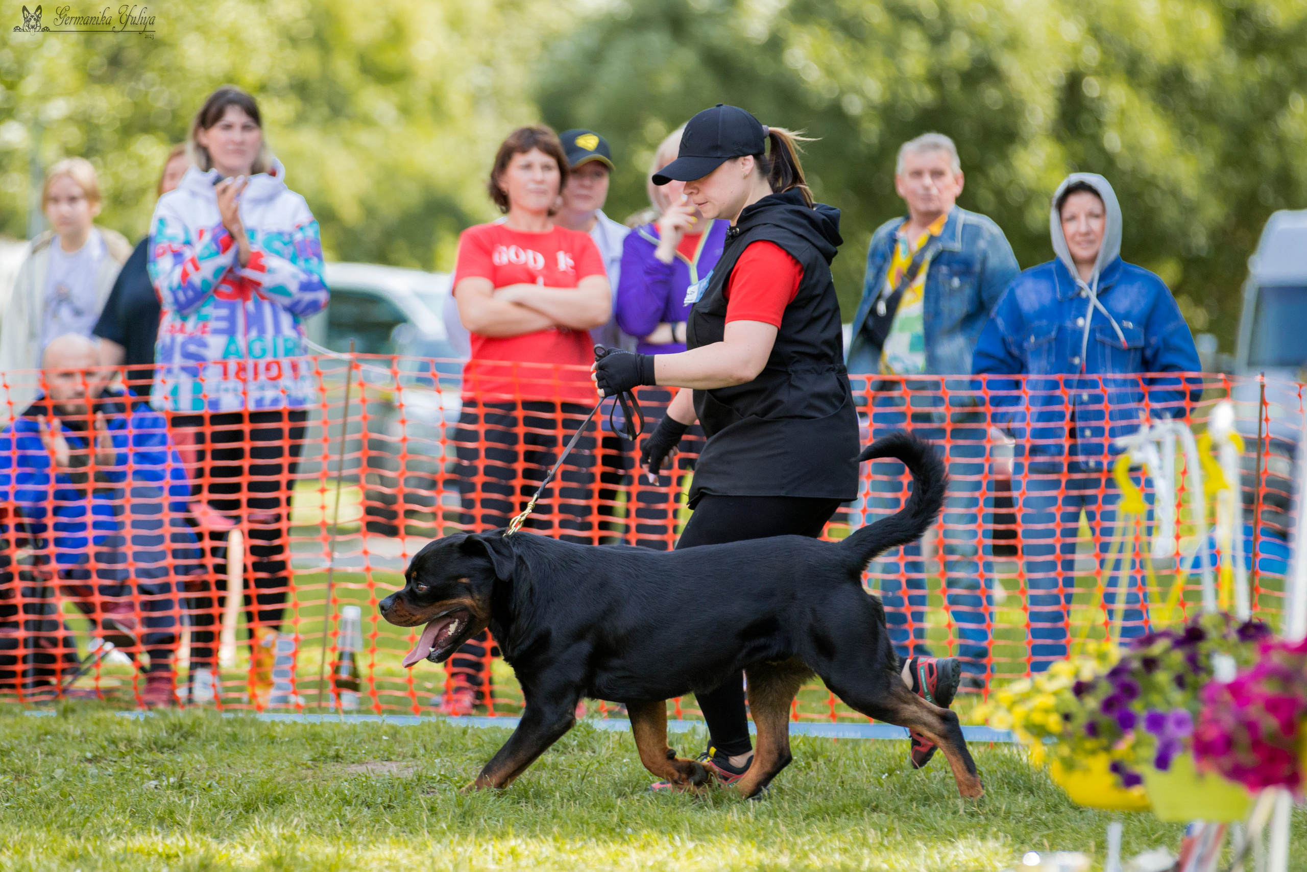 ПК и КЧК ротвейлеров Питер 22-23.07.2023. Фотограф-анималист Юлия Германика