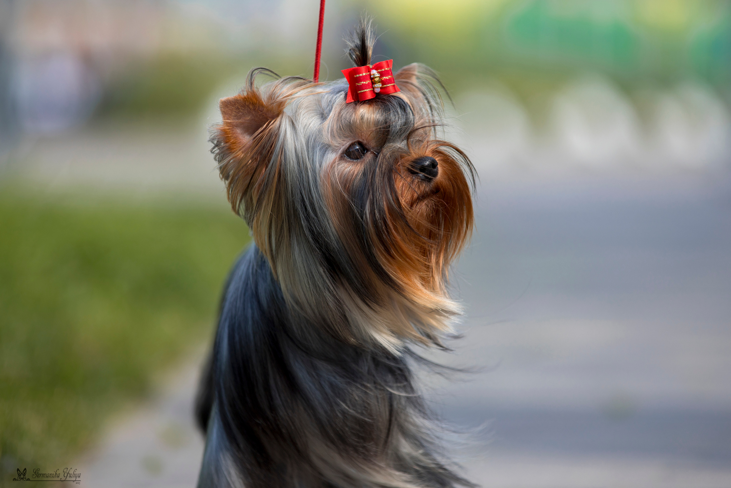 Питер 2-3.09.2023. Фотограф-анималист Юлия Германика