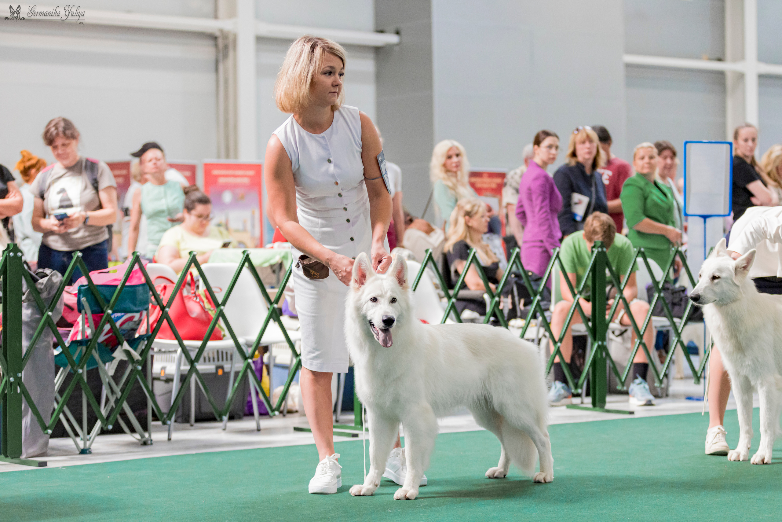 Крокус,Псков 5-6.08.2023. Фотограф-анималист Юлия Германика