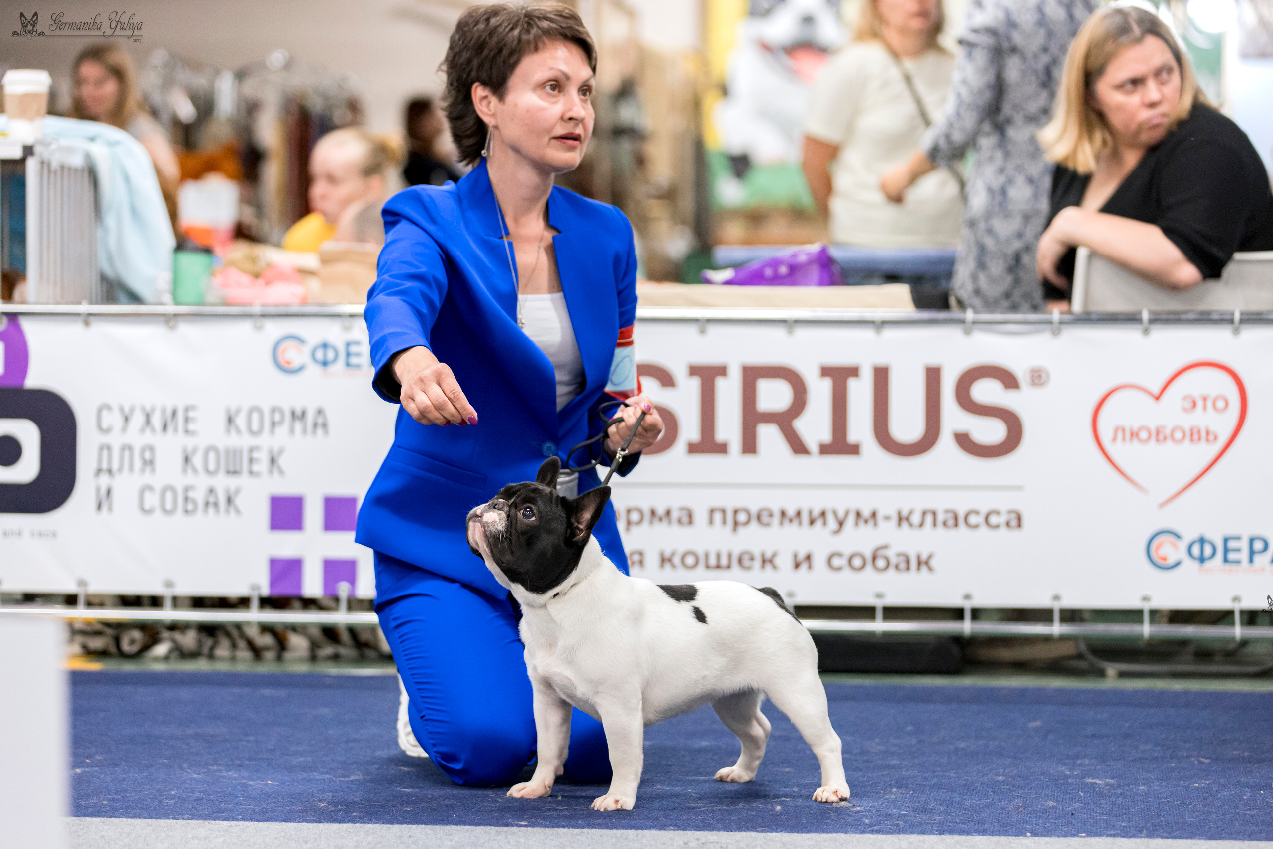 Сфера-Ховрино 29-30.07.2023. Фотограф-анималист Юлия Германика