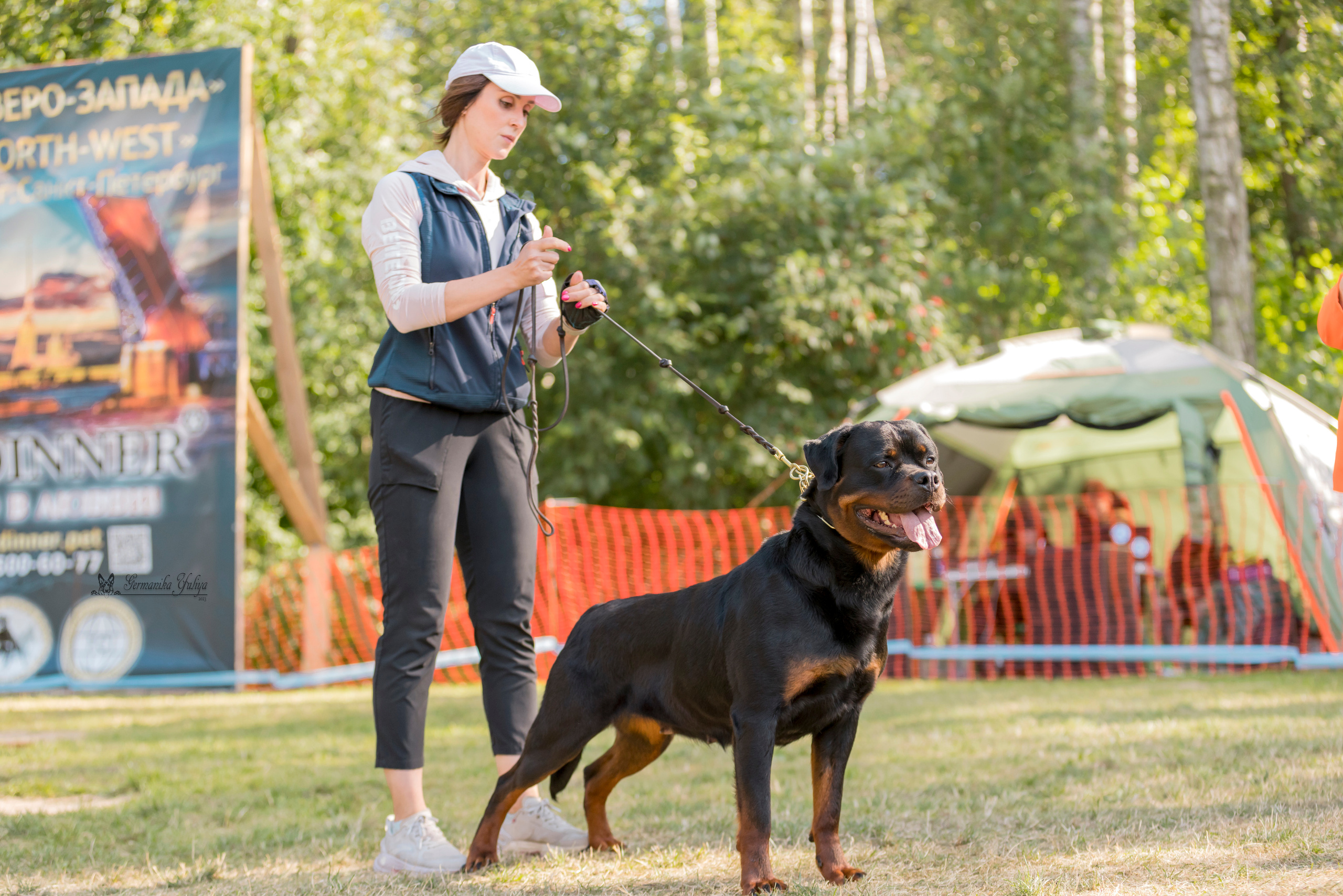 ПК и КЧК ротвейлеров Питер 22-23.07.2023. Фотограф-анималист Юлия Германика