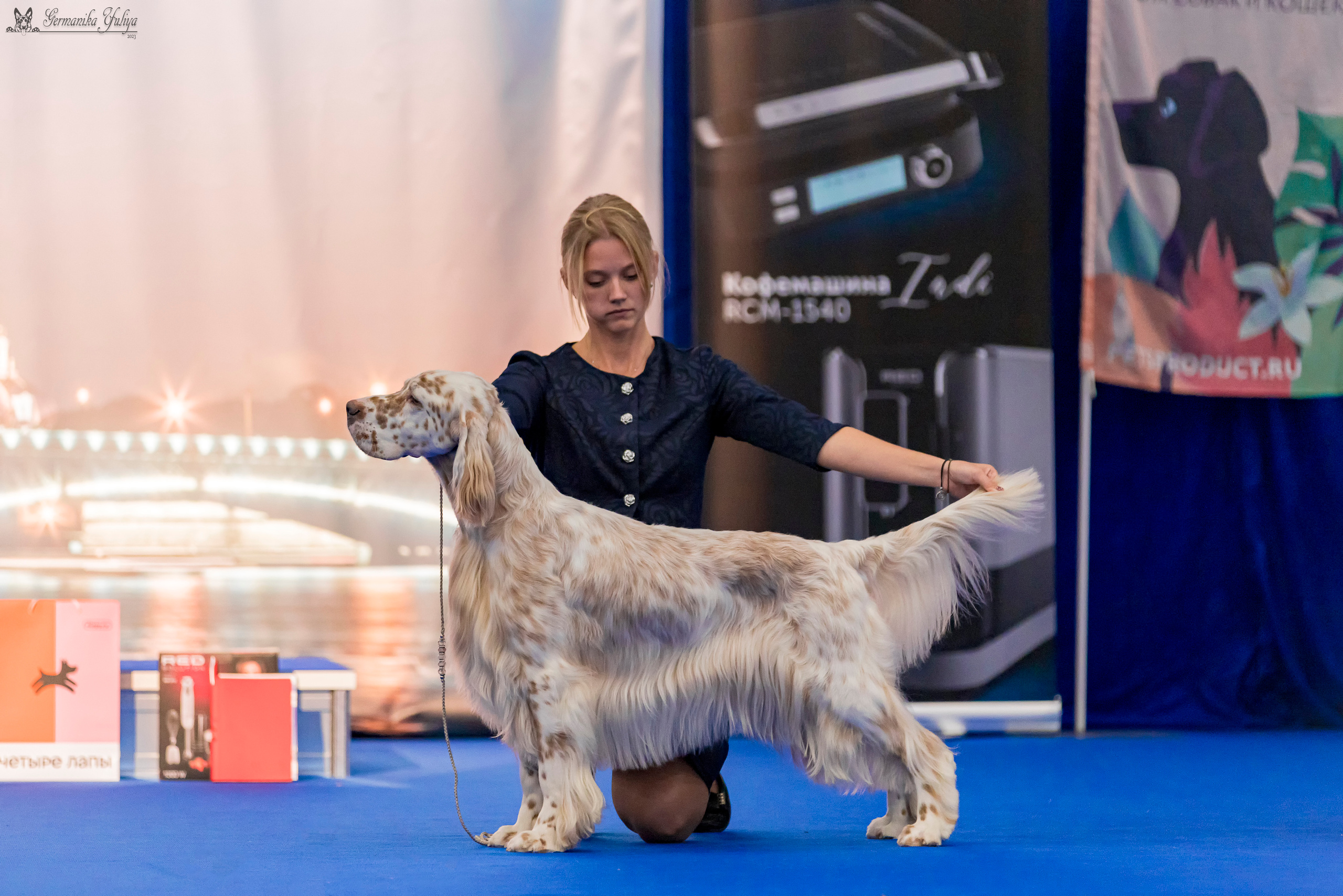 Питер 2-3.09.2023. Фотограф-анималист Юлия Германика