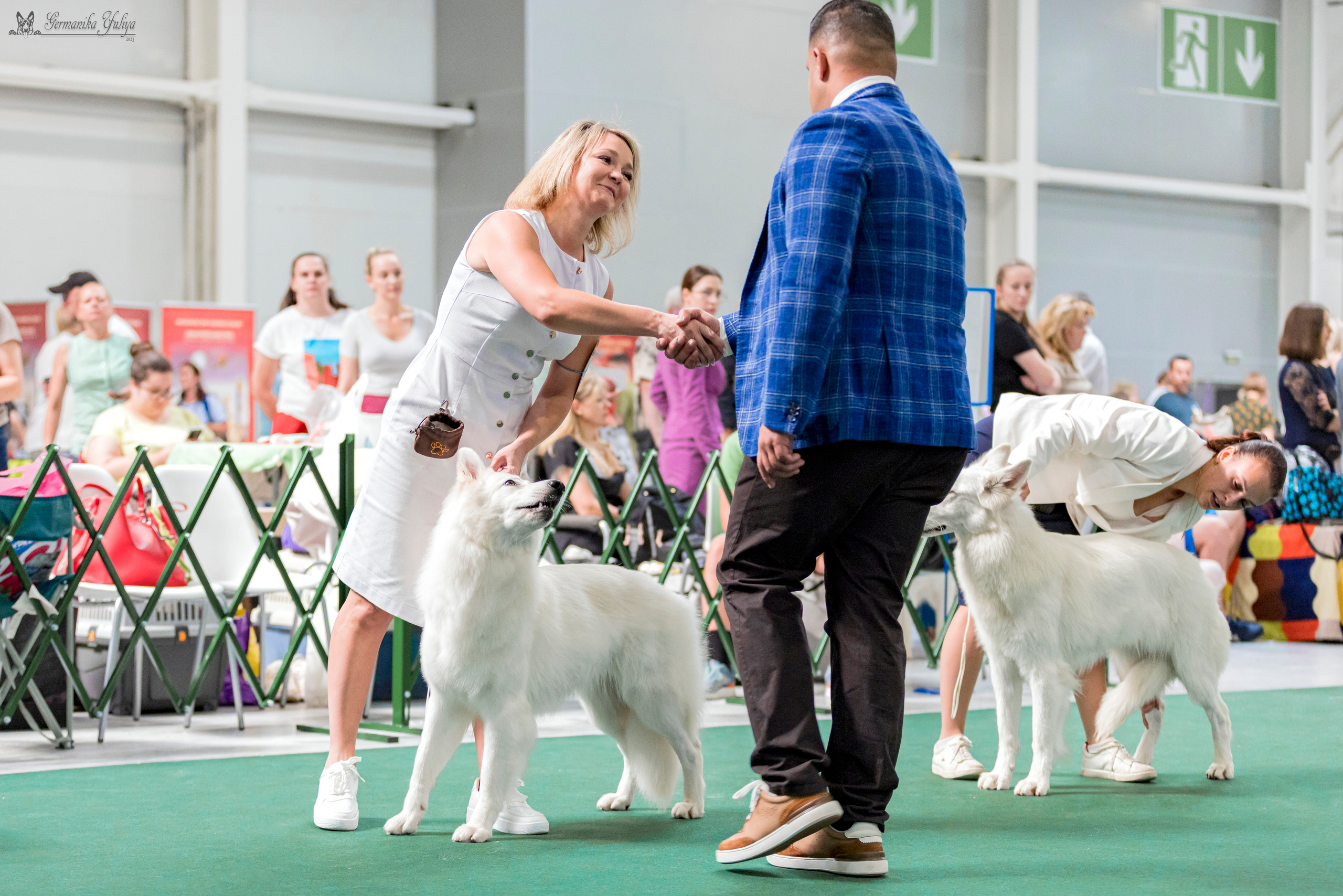 Крокус,Псков 5-6.08.2023. Фотограф-анималист Юлия Германика