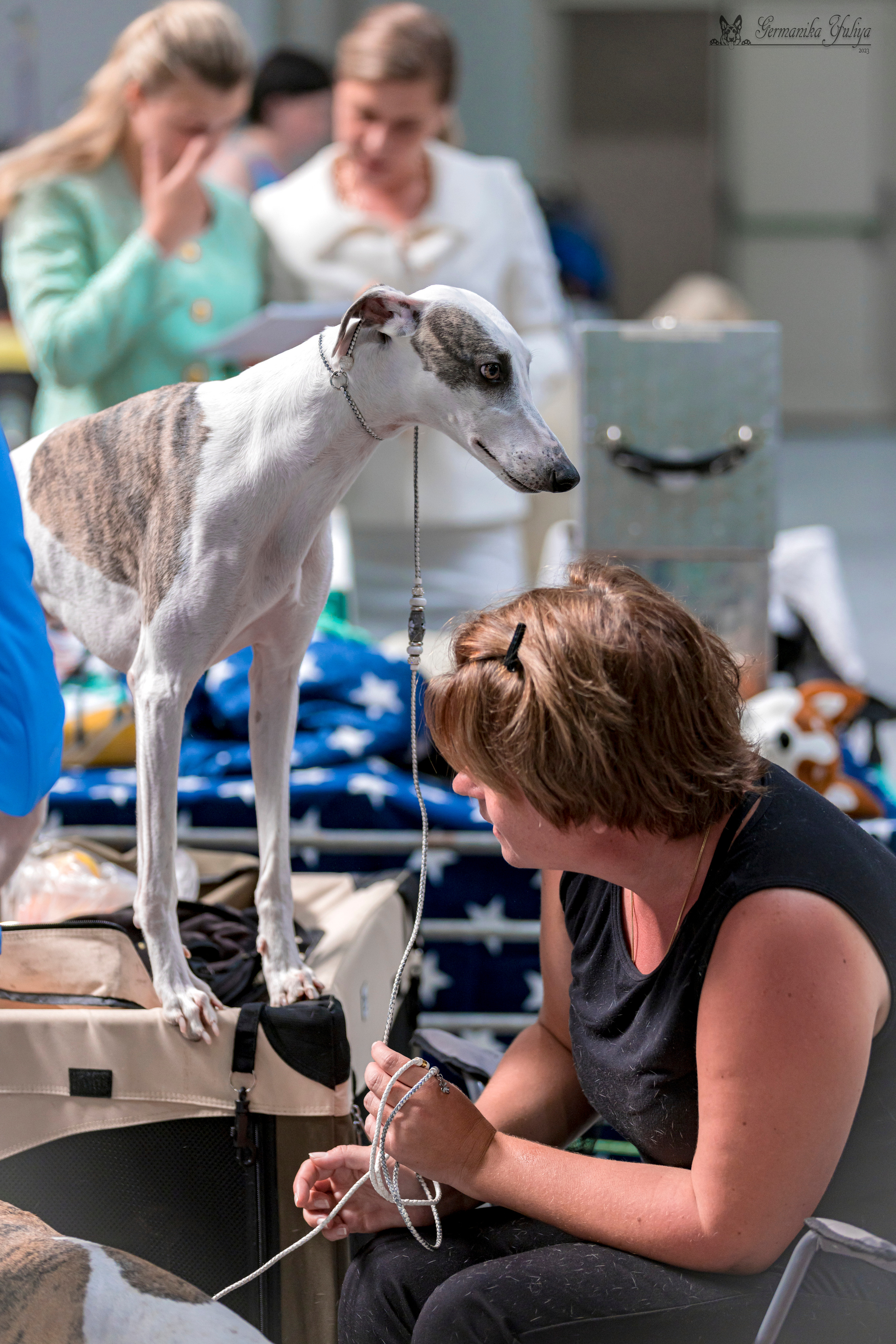 Крокус,Псков 5-6.08.2023. Фотограф-анималист Юлия Германика